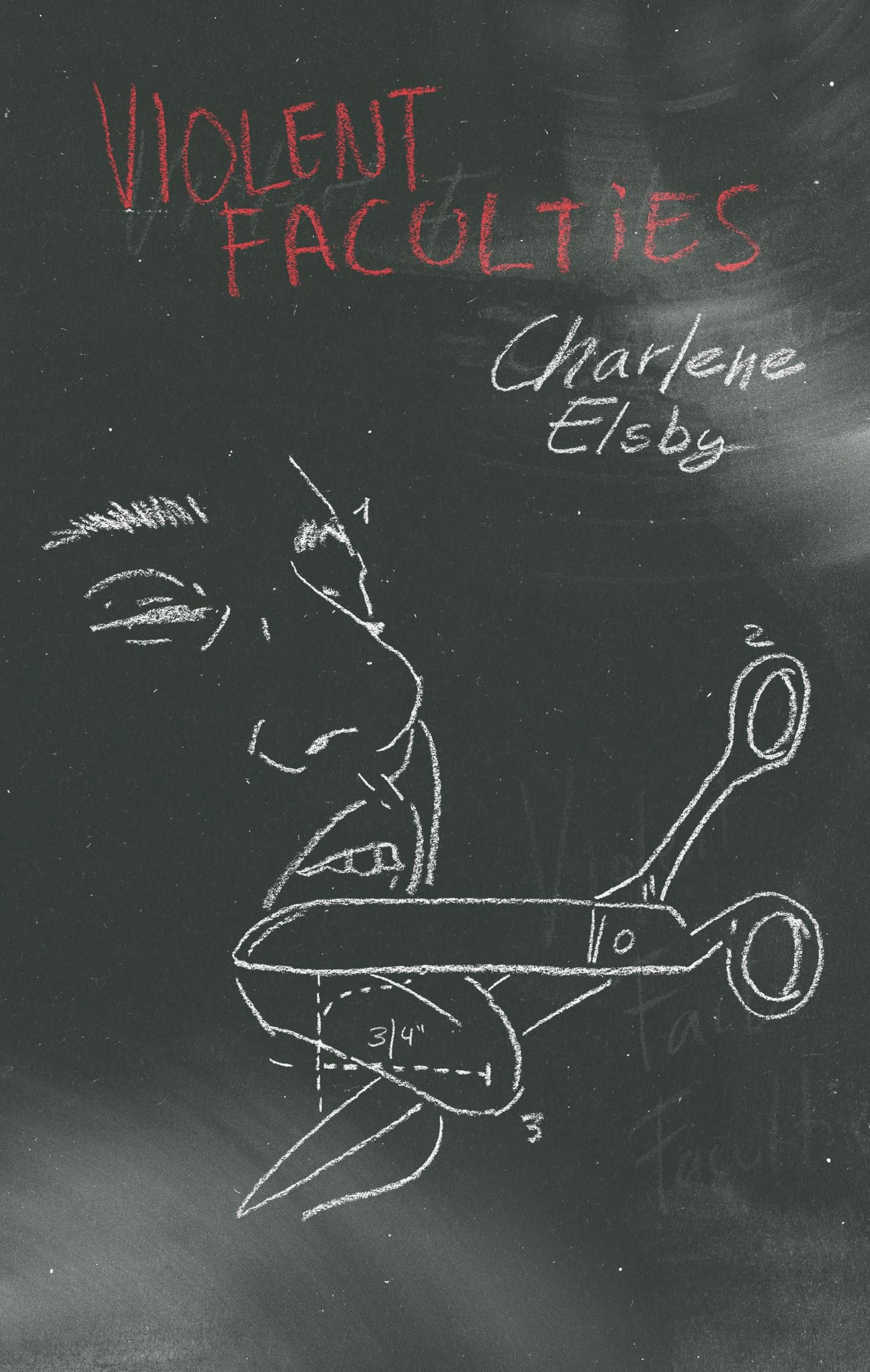 Violent Faculties book cover