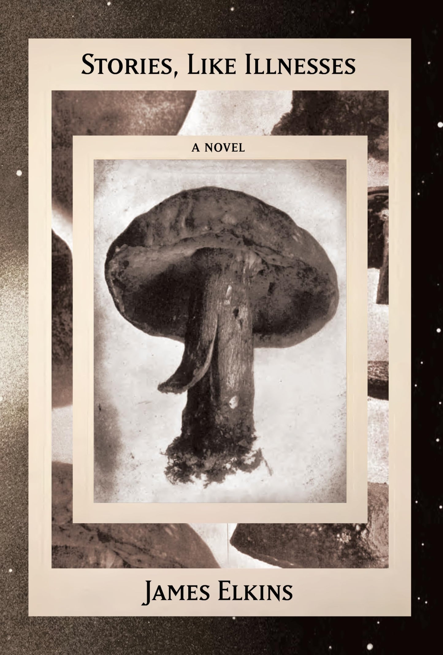 Stories, Like Illnesses book cover