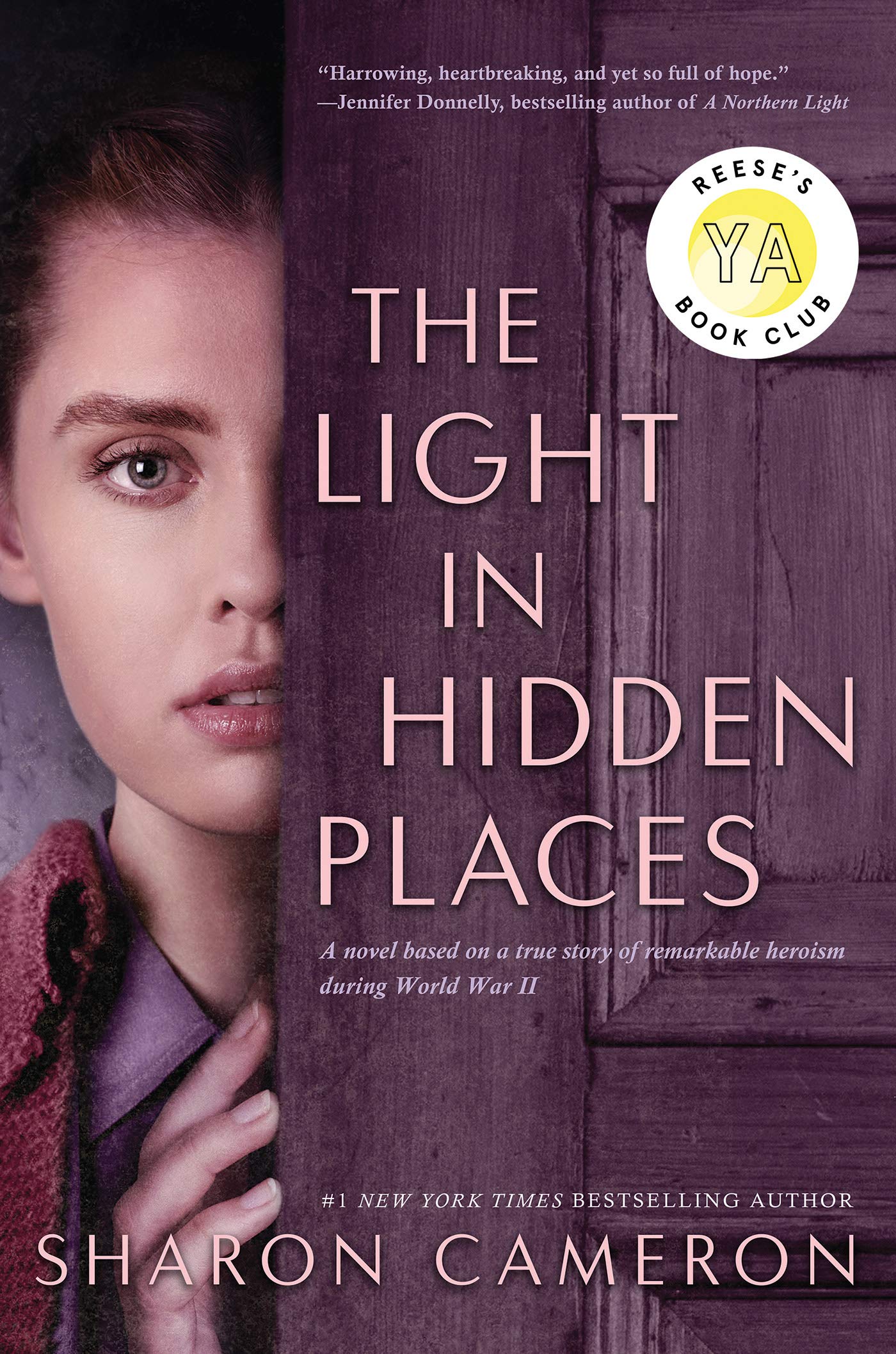 Light in Hidden Places book cover