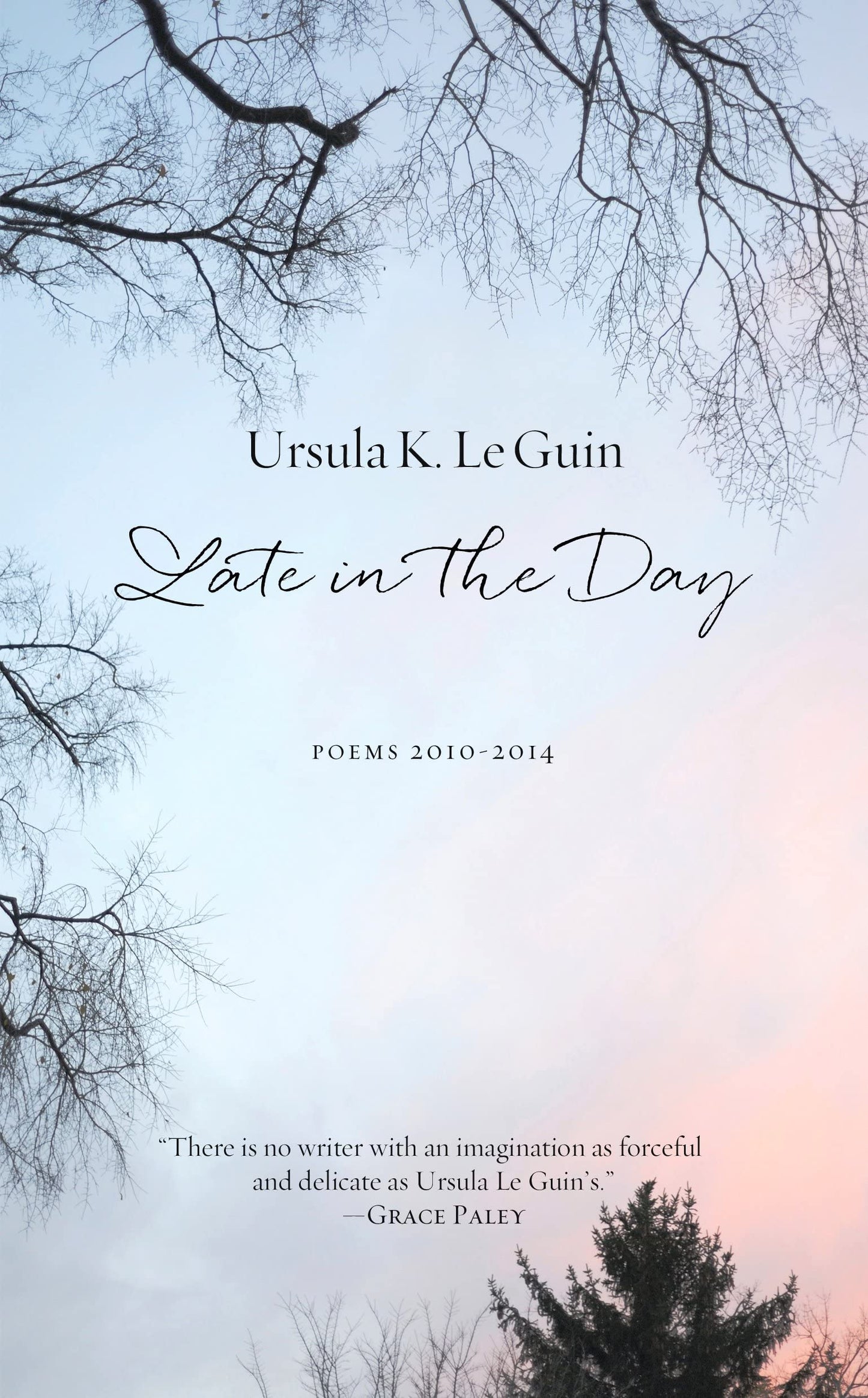 Late in the Day book cover