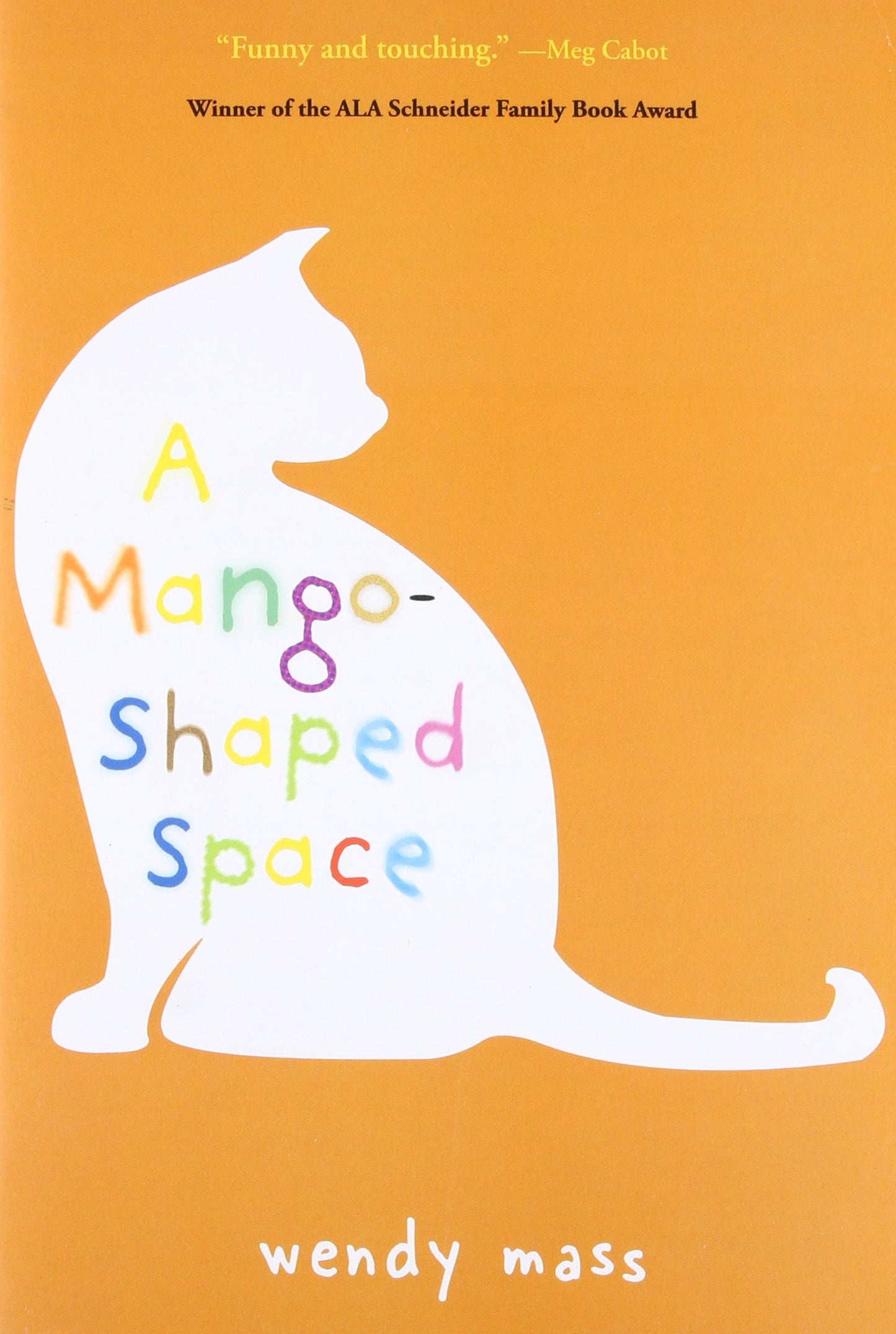 Mango-Shaped Space book cover