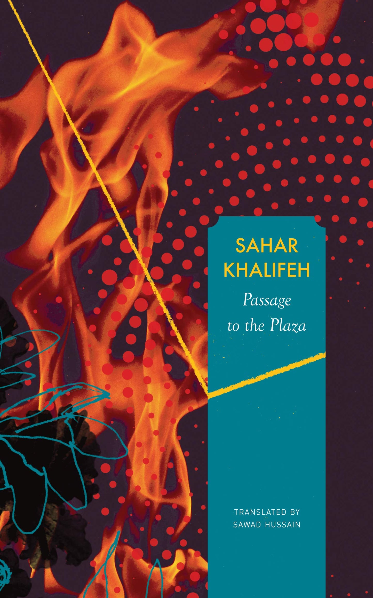 Passage to the Plaza book cover
