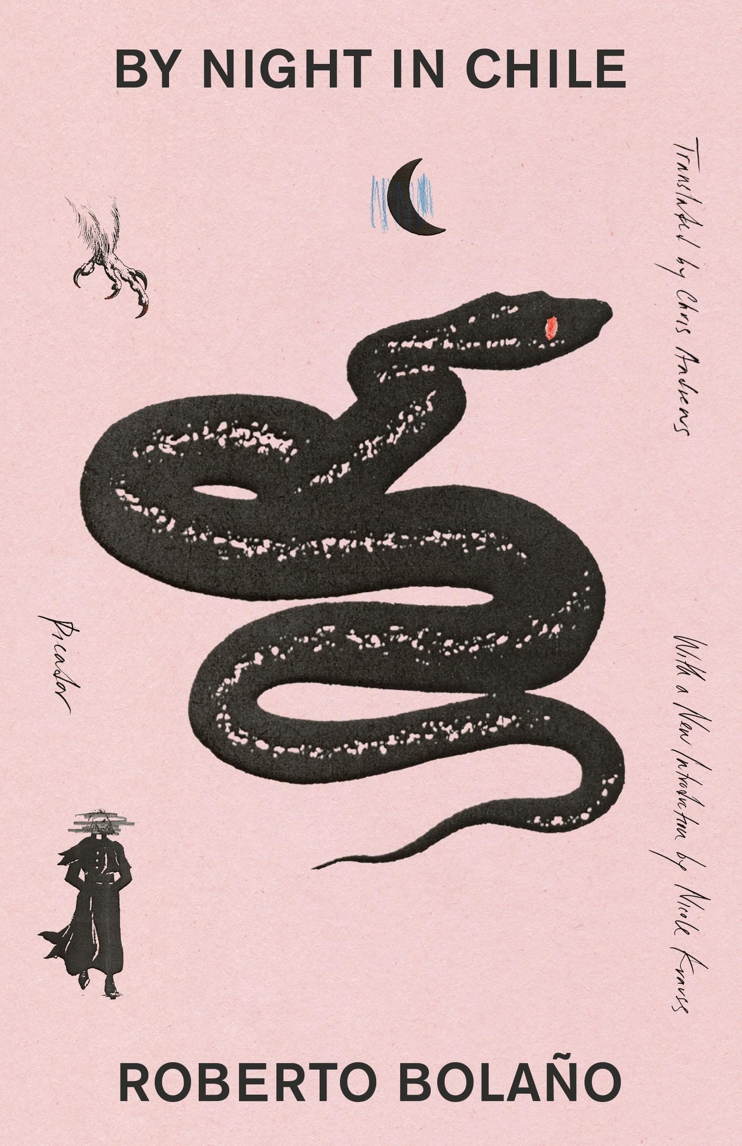 By Night in Chile book cover