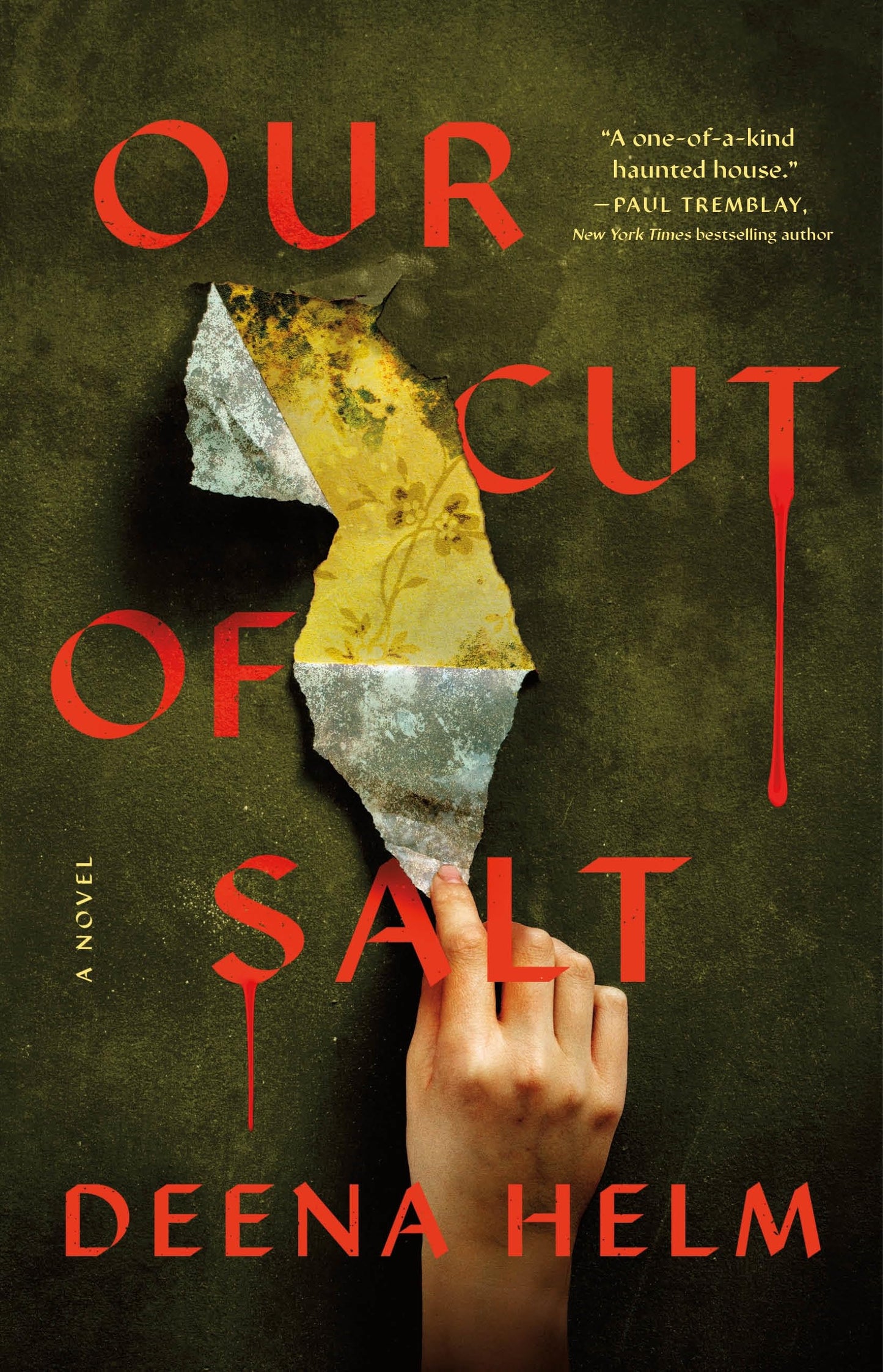 Our Cut of Salt book cover