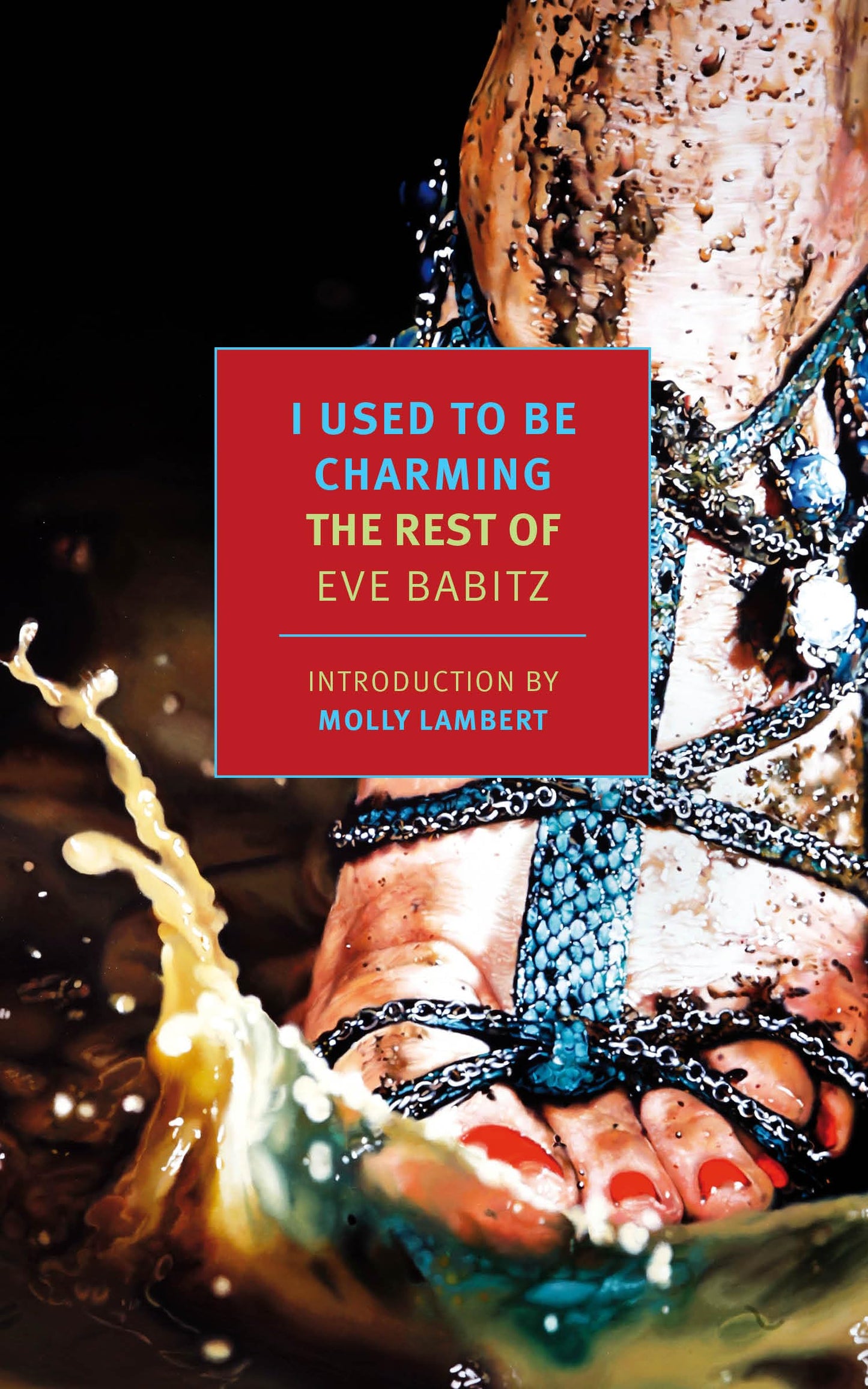 I Used to Be Charming book cover
