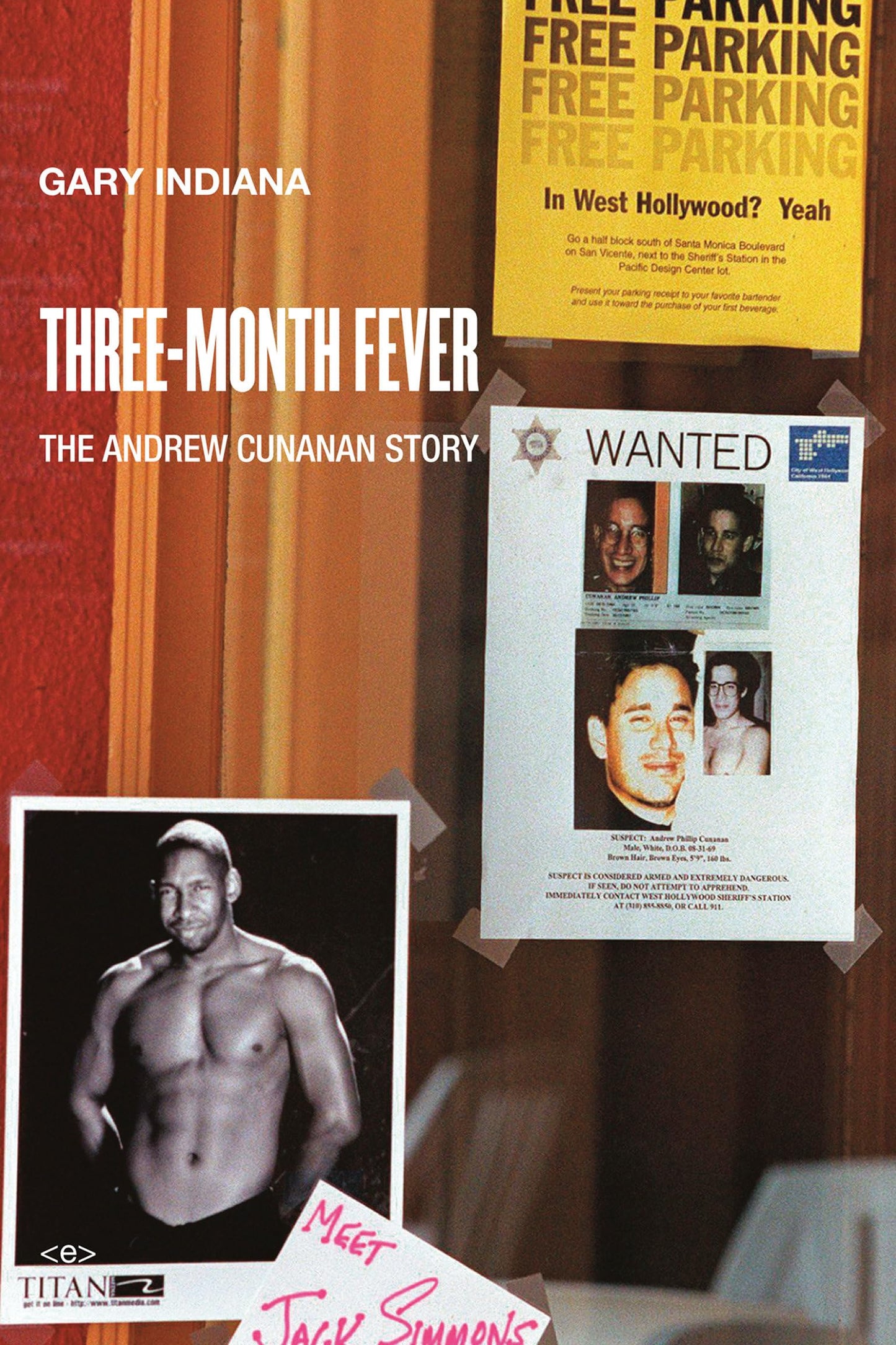 Three-Month Fever book cover
