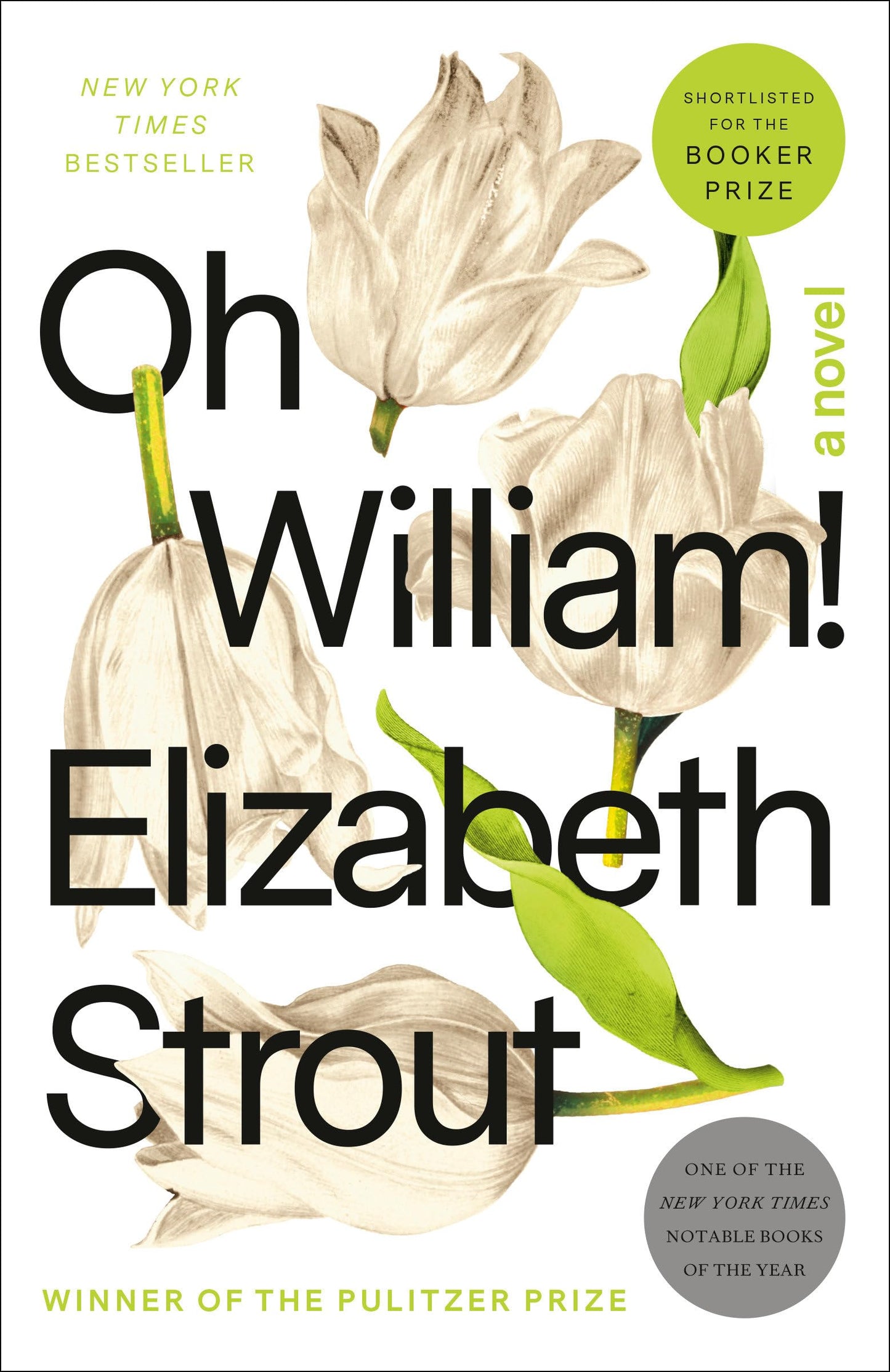 Oh William! book cover