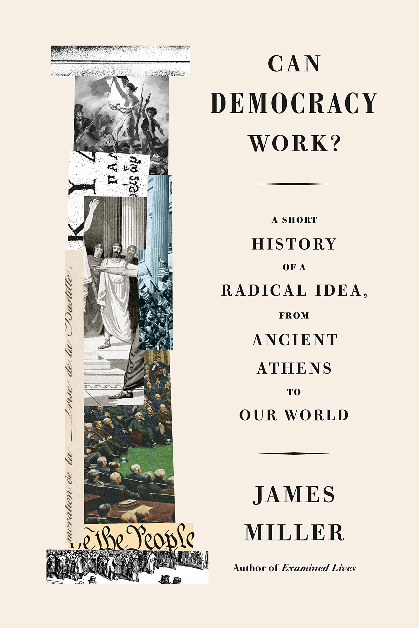 Can Democracy Work?: A Short History of a Radical Idea, from Ancient Athens to Our World book cover