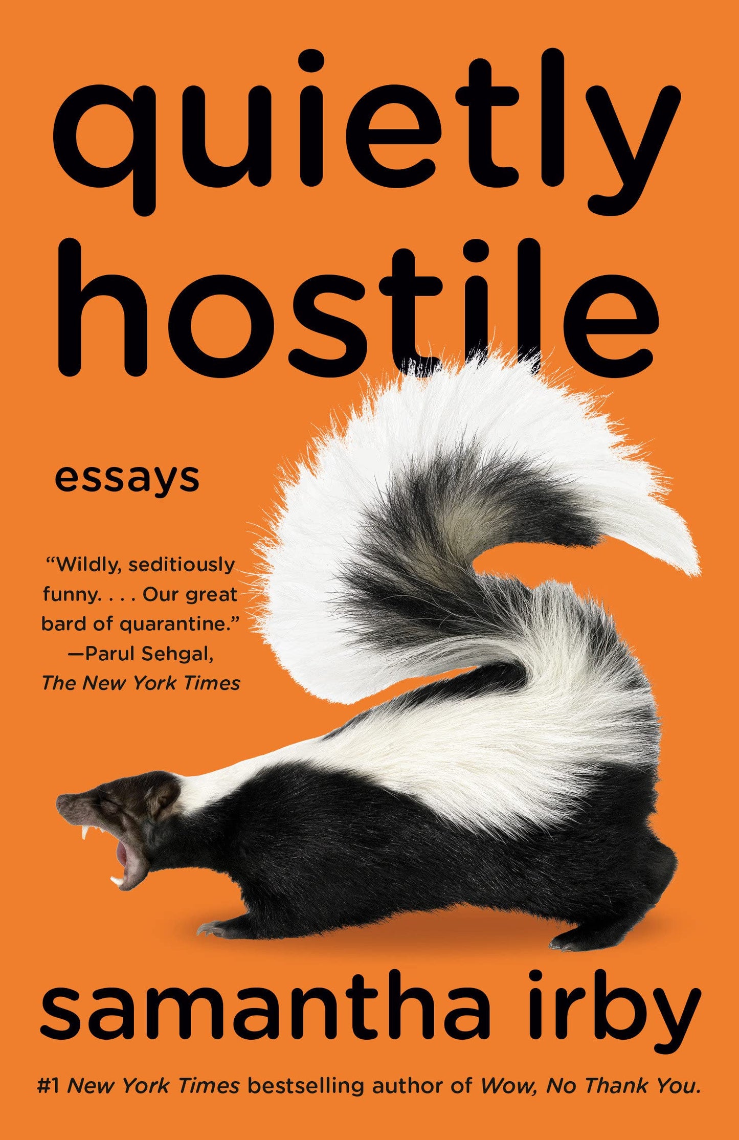 Quietly Hostile: Essays book cover