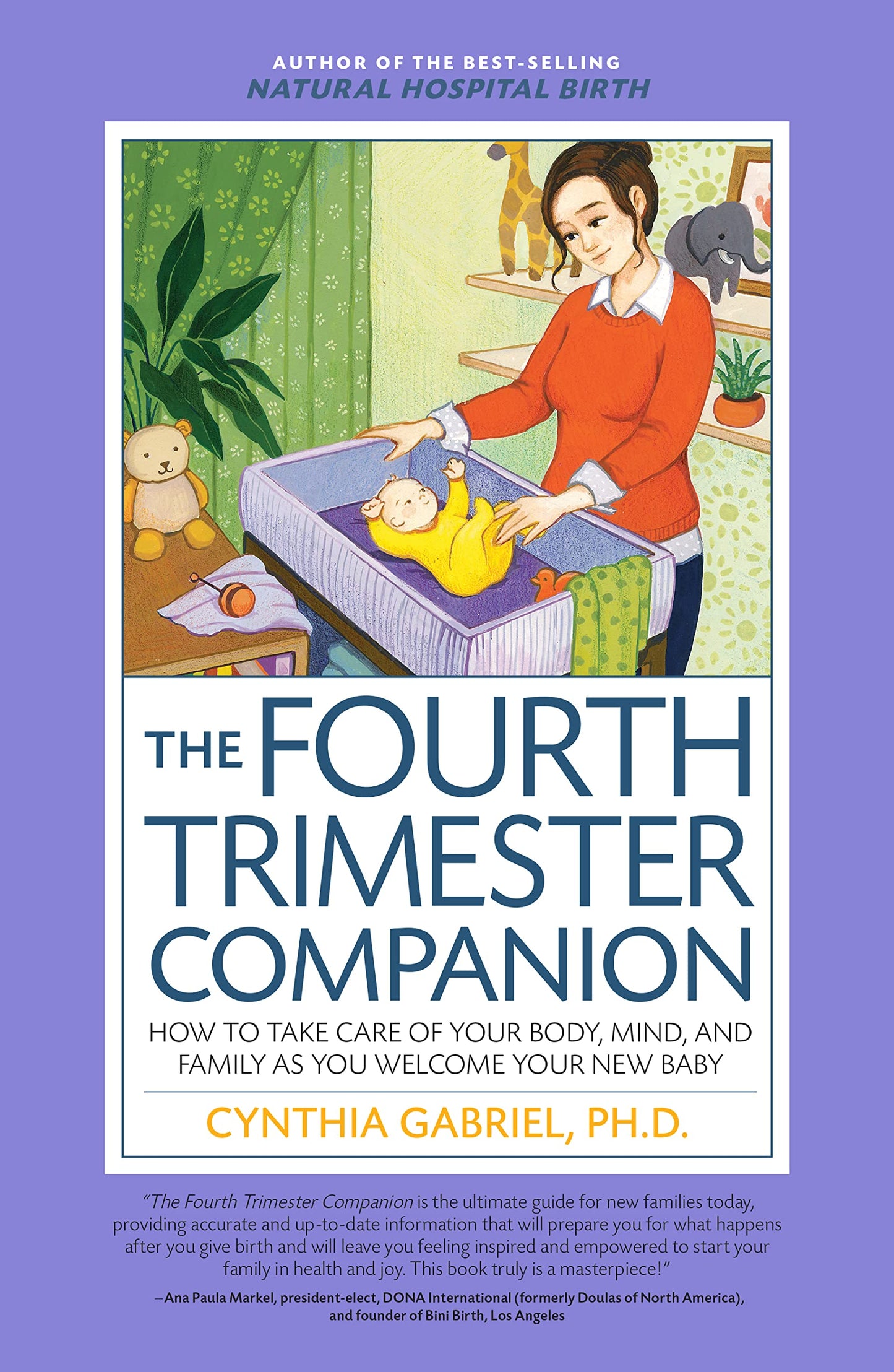 The Fourth Trimester Companion book cover