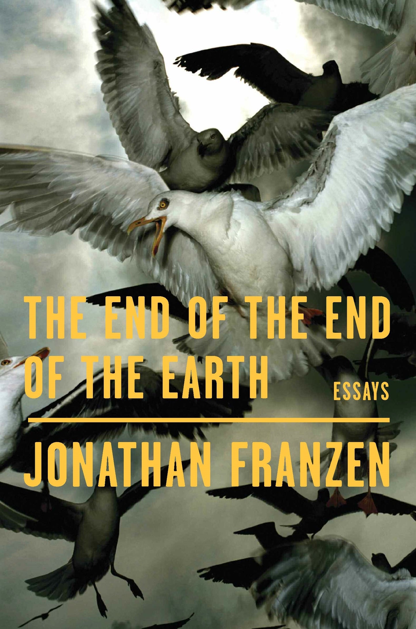 End of the End of the Earth: Essays book cover