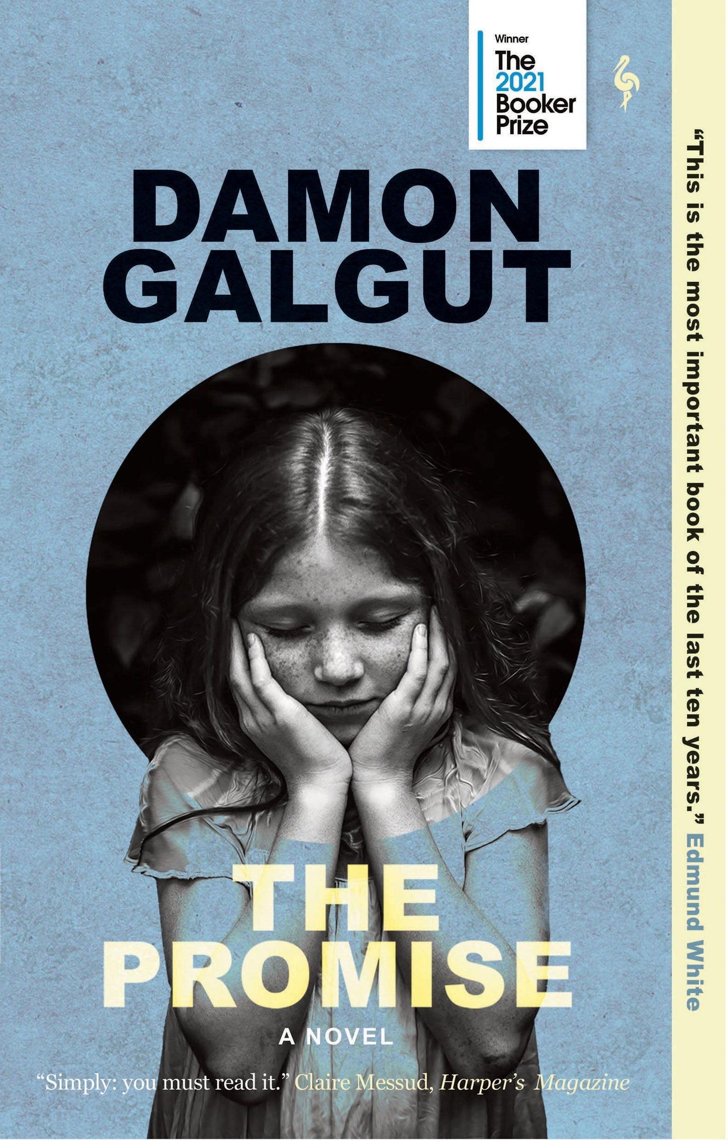 Promise: A Novel (Booker Prize Winner) book cover