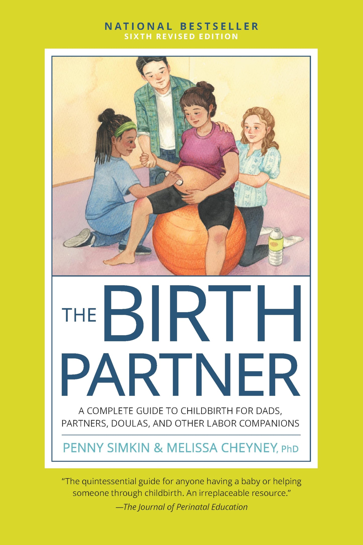 Birth Partner, Sixth Revised Edition: A Complete Guide to Childbirth for Dads, Partners, Doulas, and Other Labor Companions (Revised)