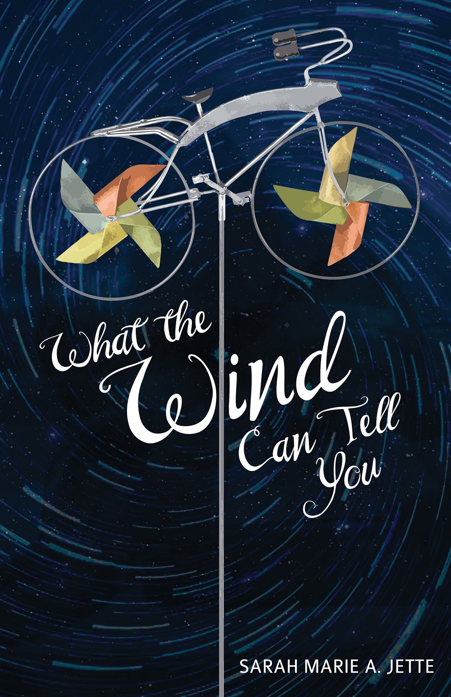 What the Wind Can Tell You book cover