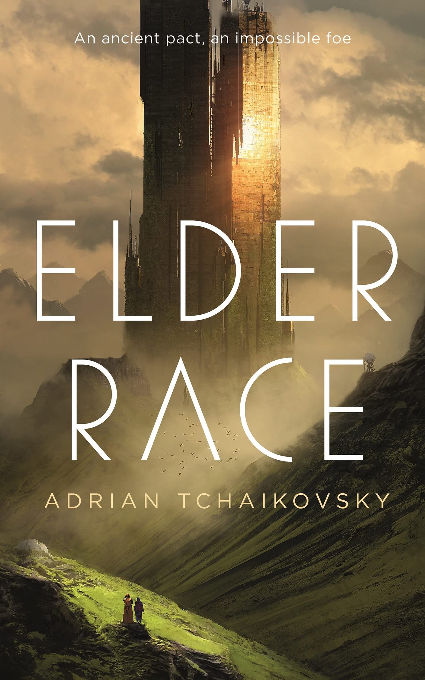 Elder Race book cover