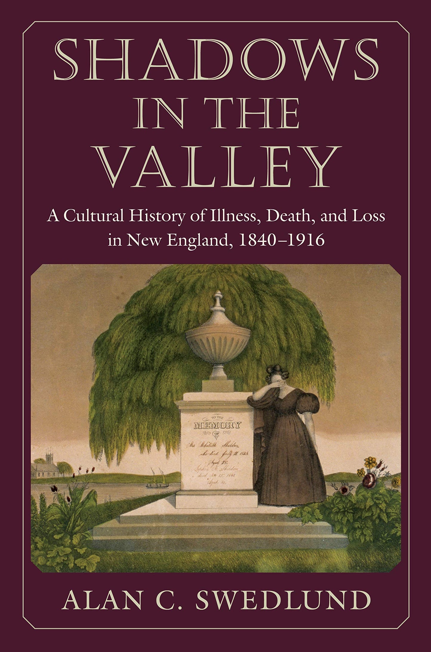 Shadows in the Valley: A Cultural History of Illness, Death, and Loss in New England, 1840-1916 book cover
