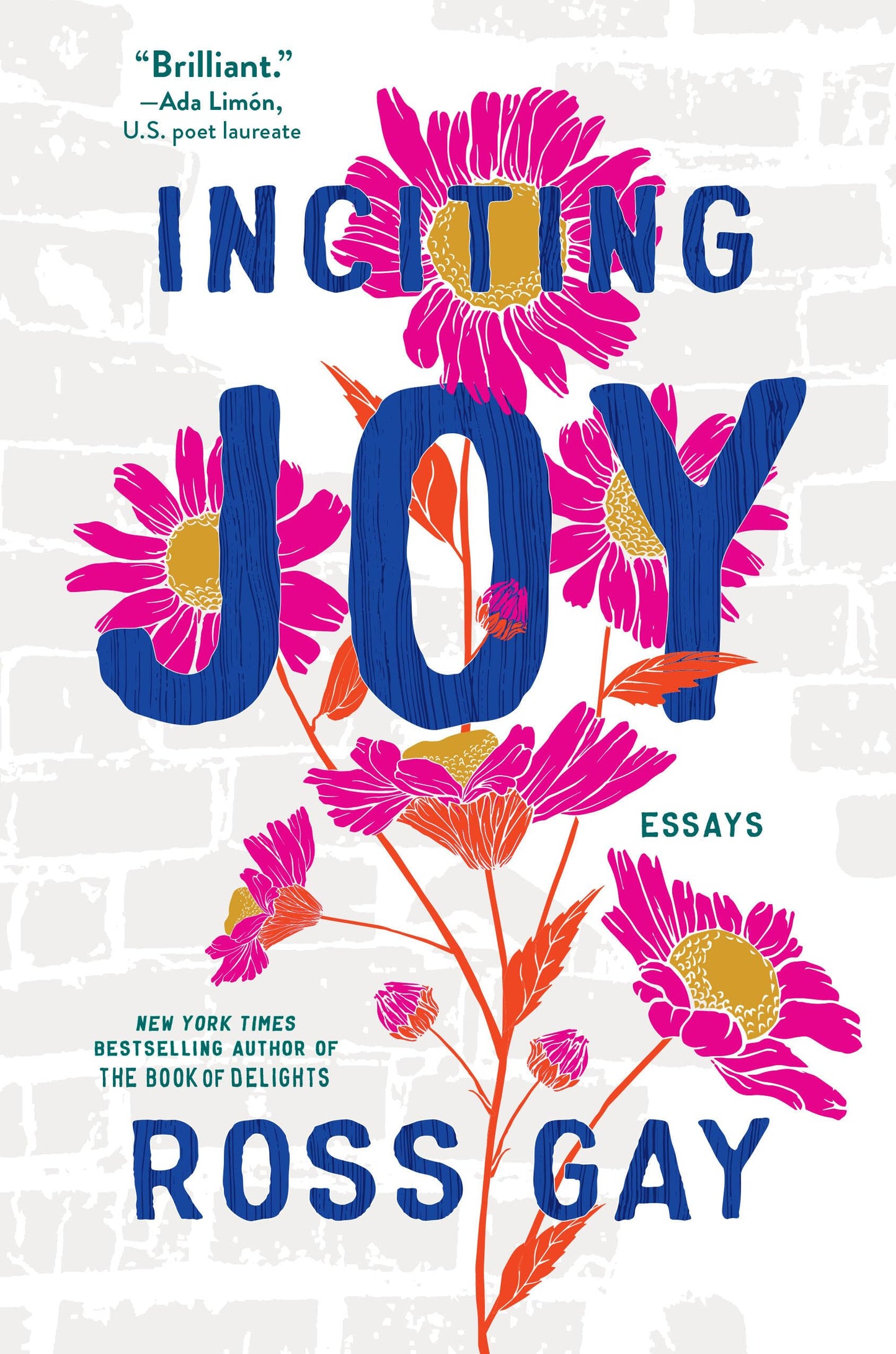 Inciting Joy book cover