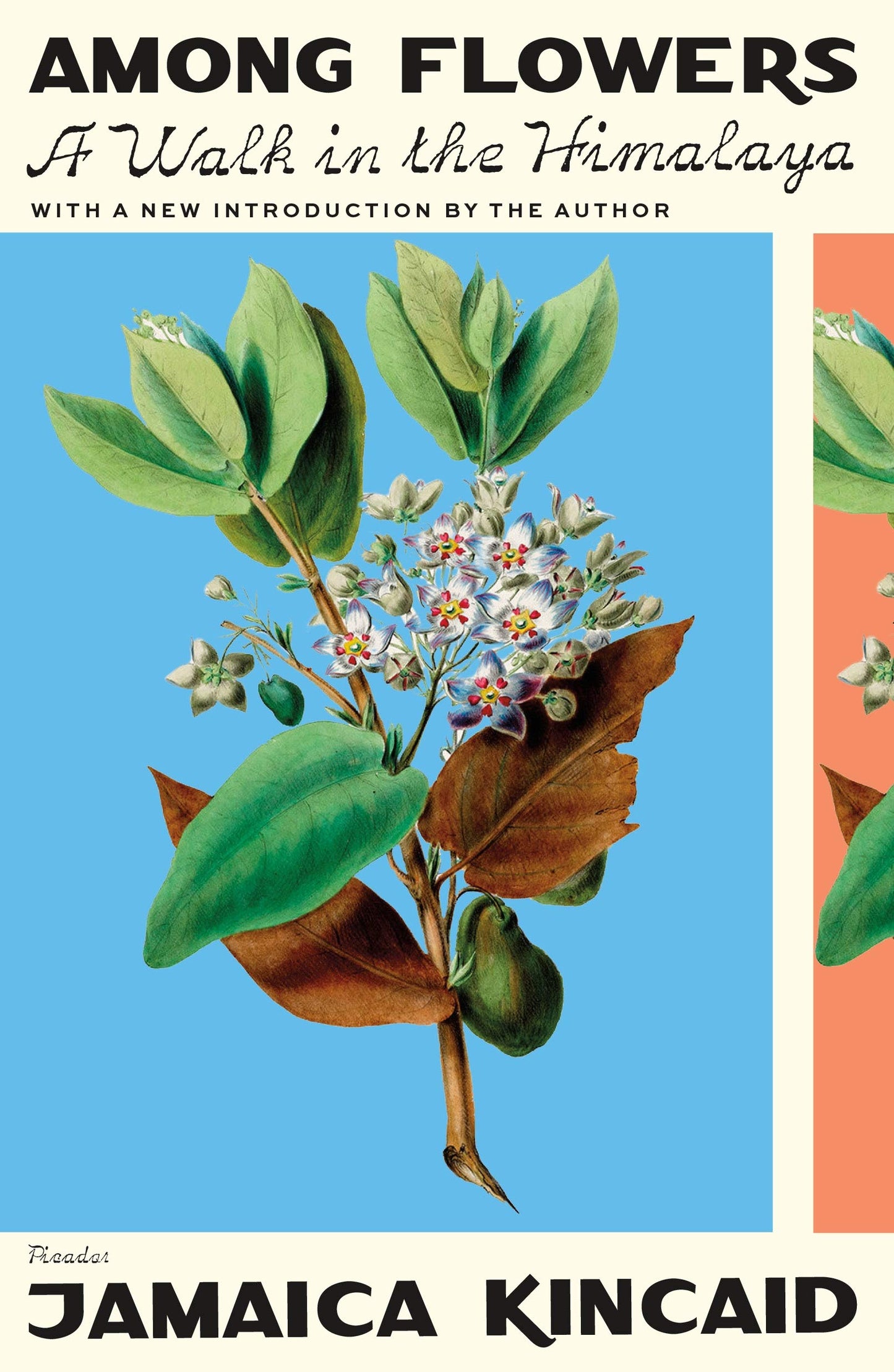 Among Flowers: A Walk in the Himalaya book cover