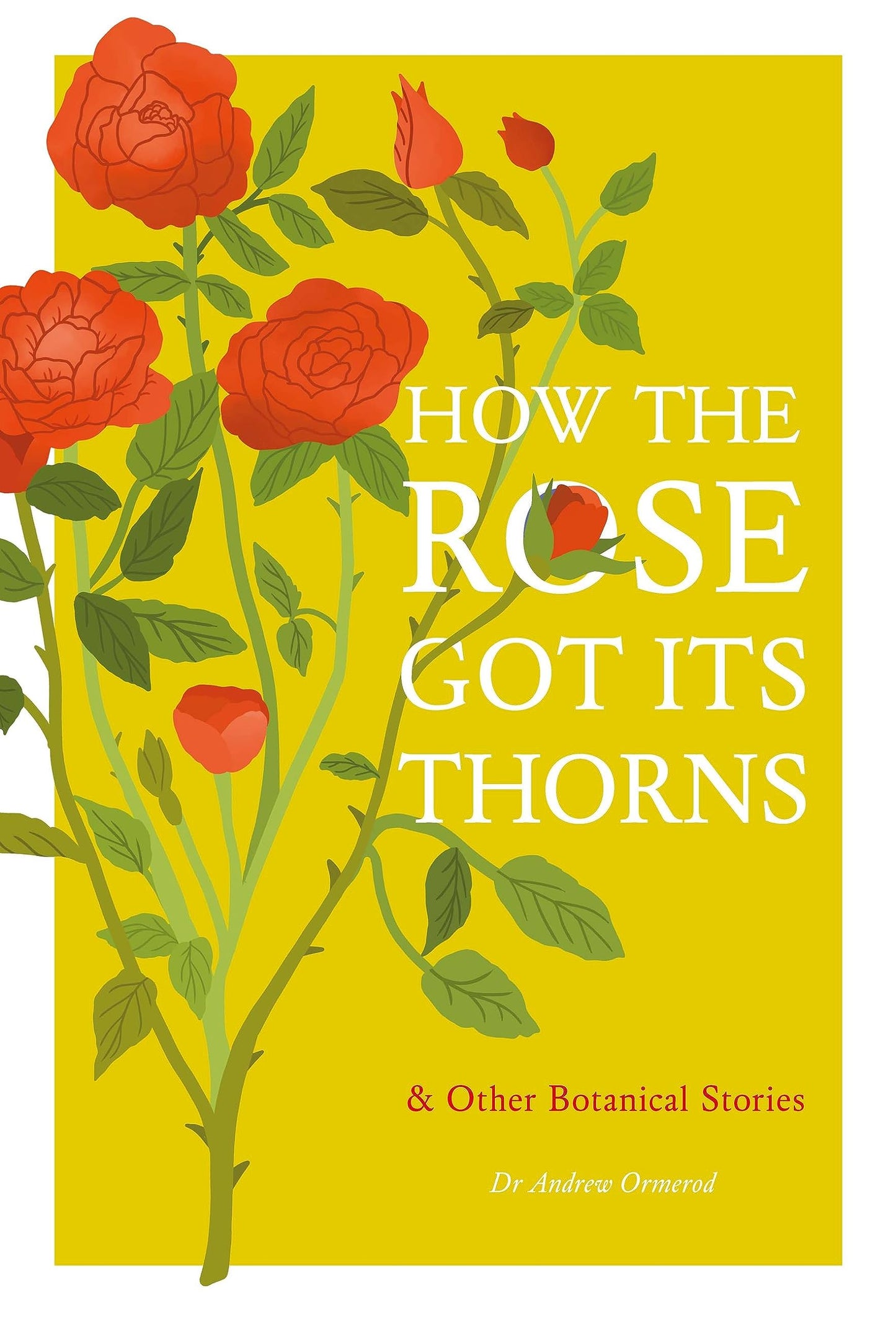How the Rose Got Its Thorns book cover