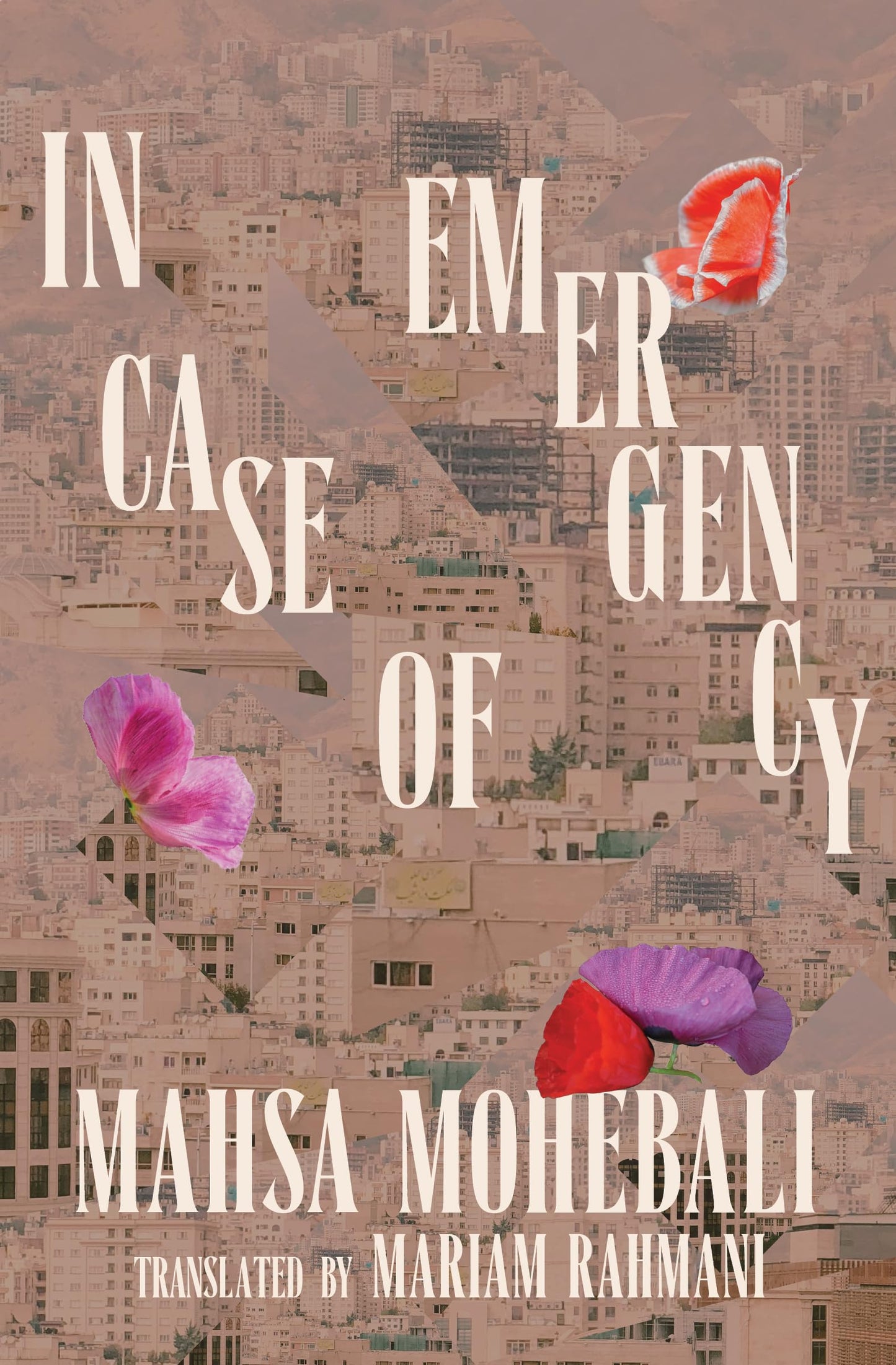 In Case of Emergency book cover