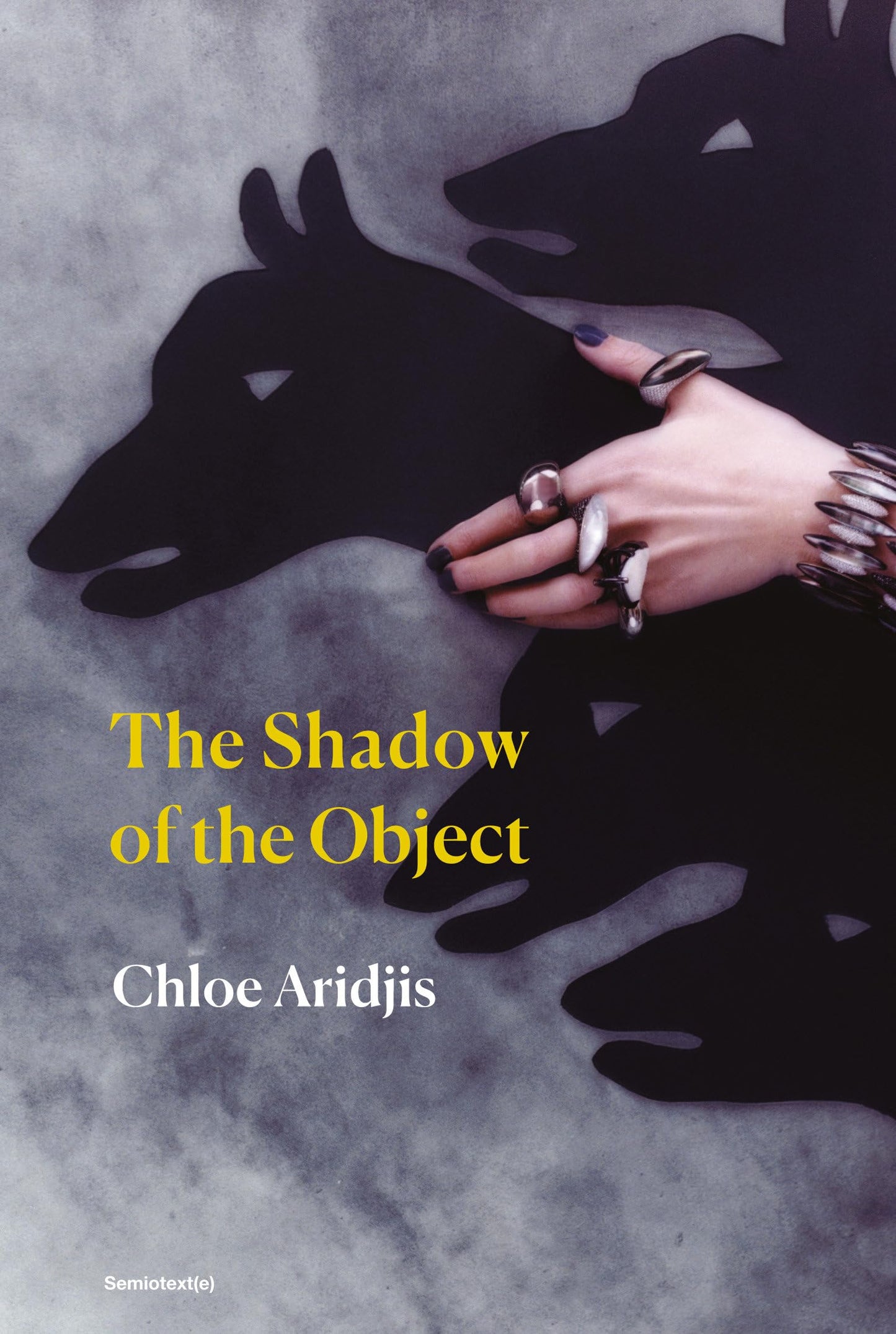 The Shadow of the Object book cover