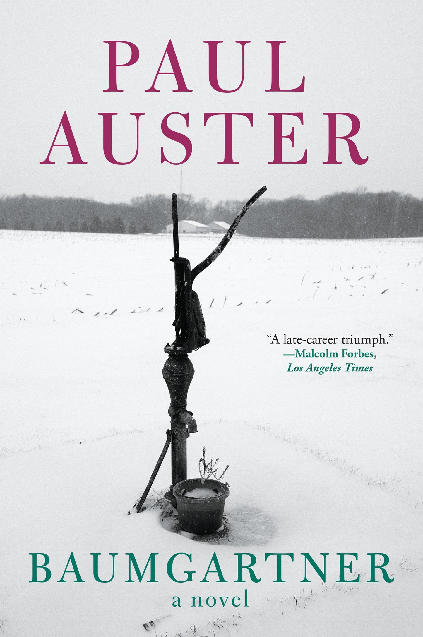 Baumgartner book cover