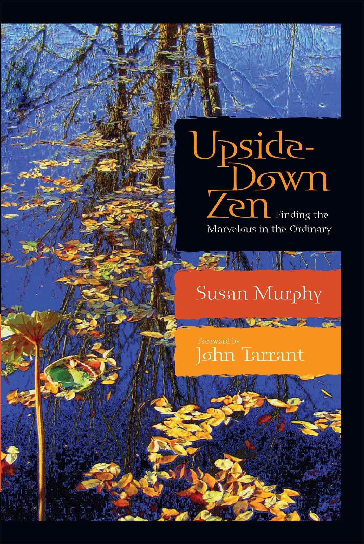 Upside-Down Zen: Finding the Marvelous in the Ordinary book cover