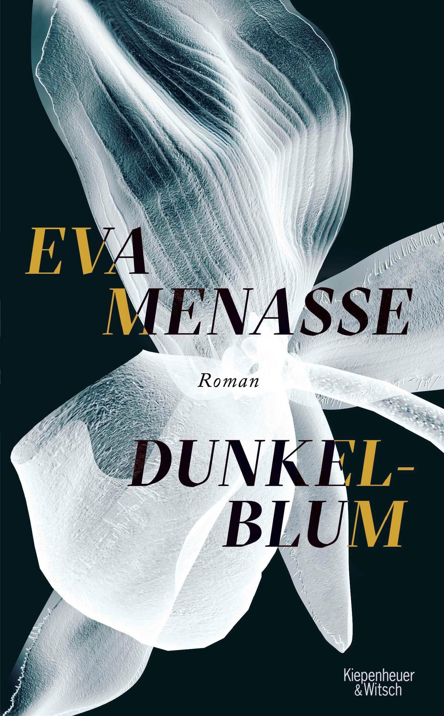 Dunkelblum book cover
