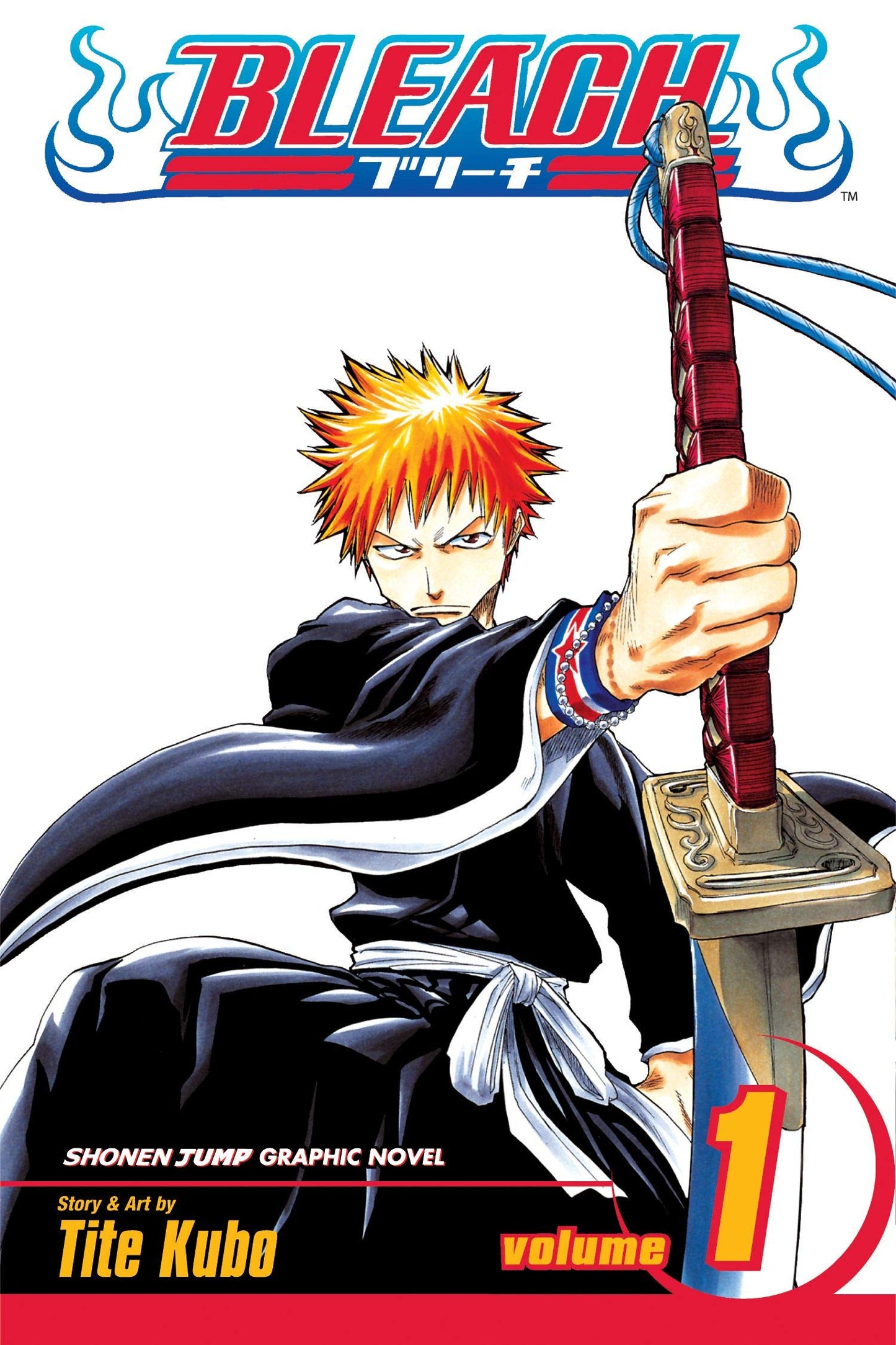 Bleach Volume 1 book cover