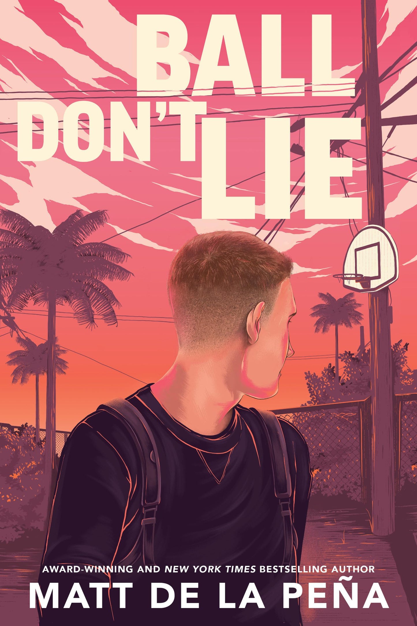 Ball Don't Lie book cover