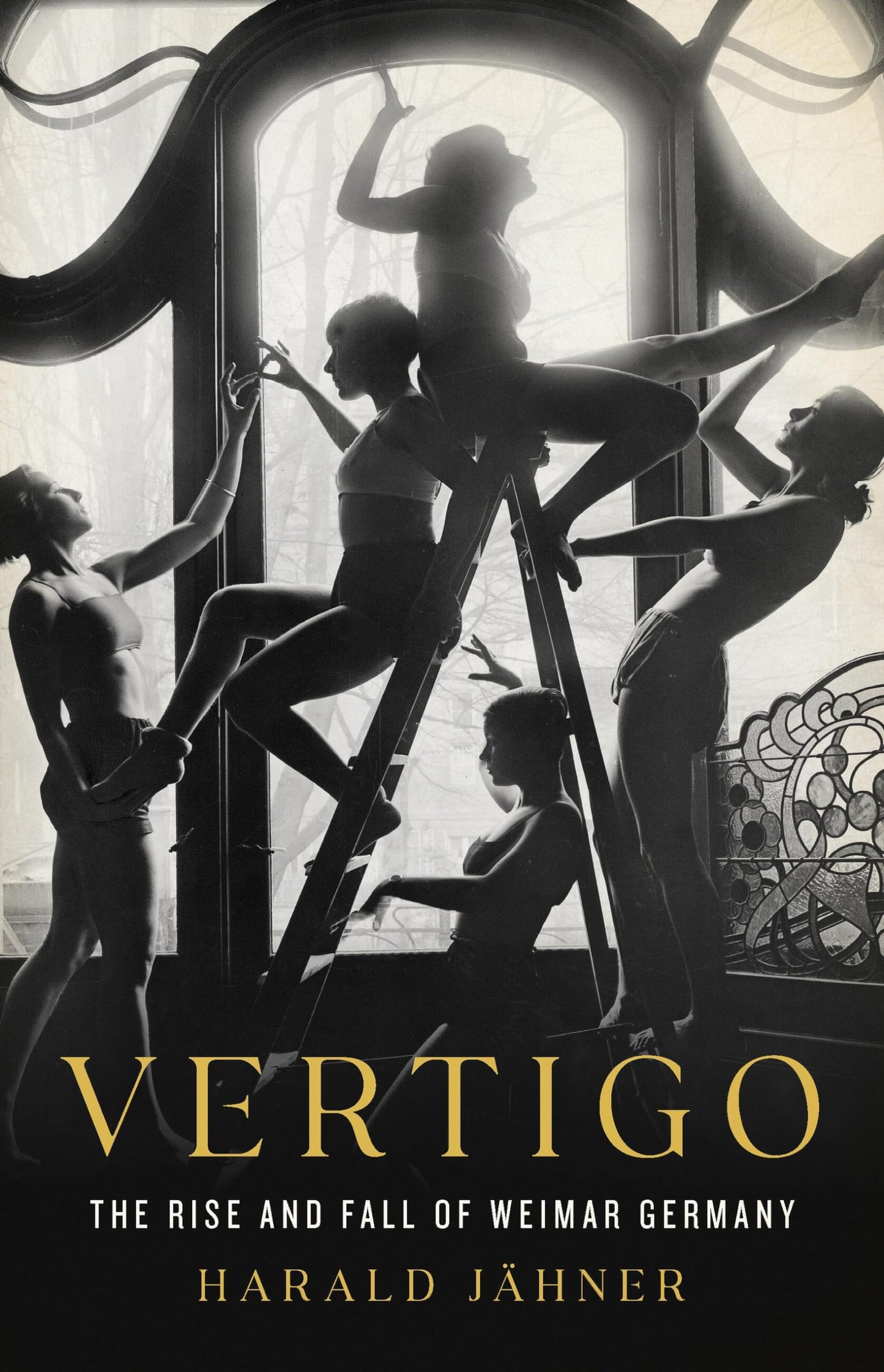 Vertigo book cover