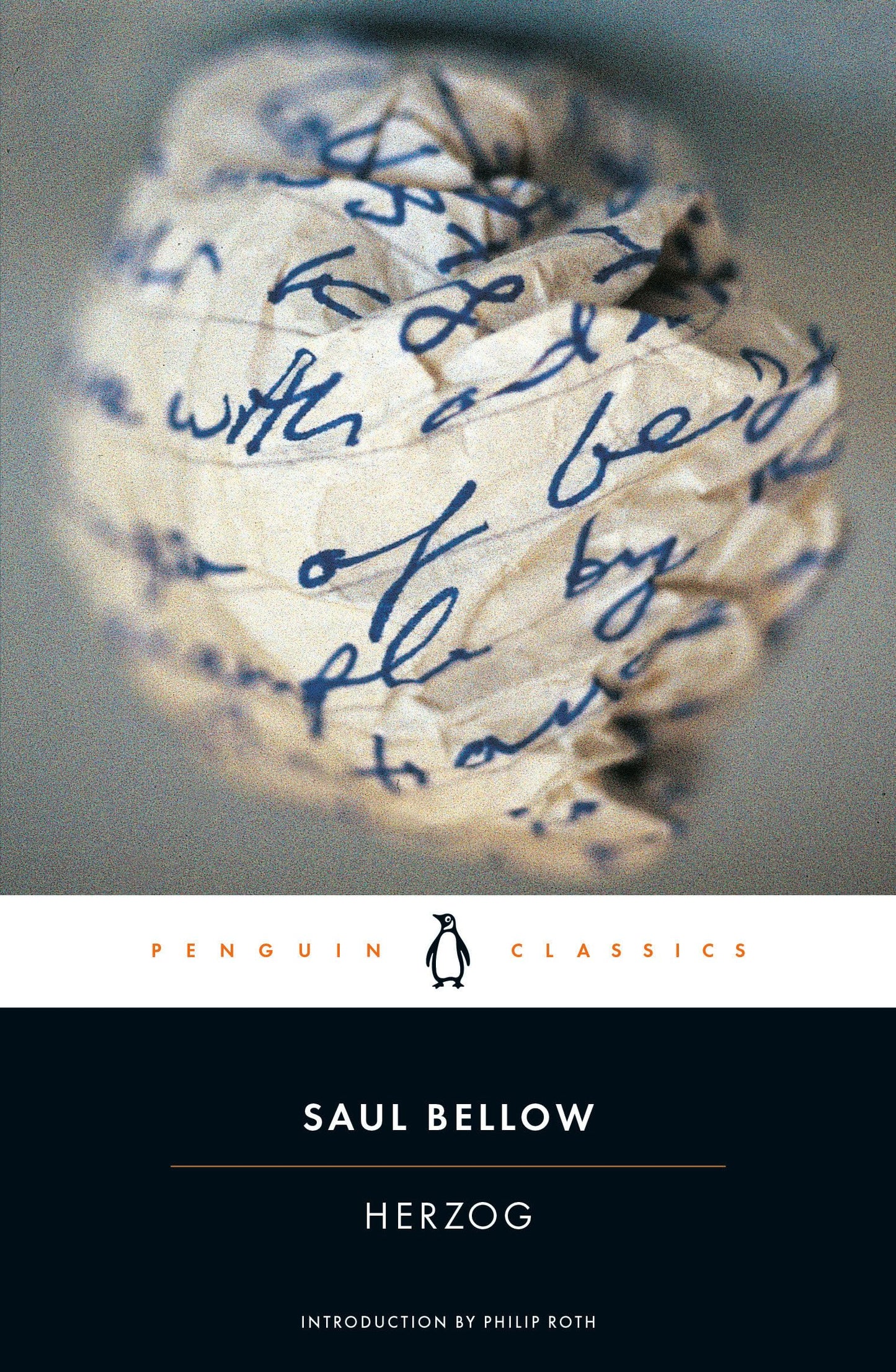 Herzog book cover