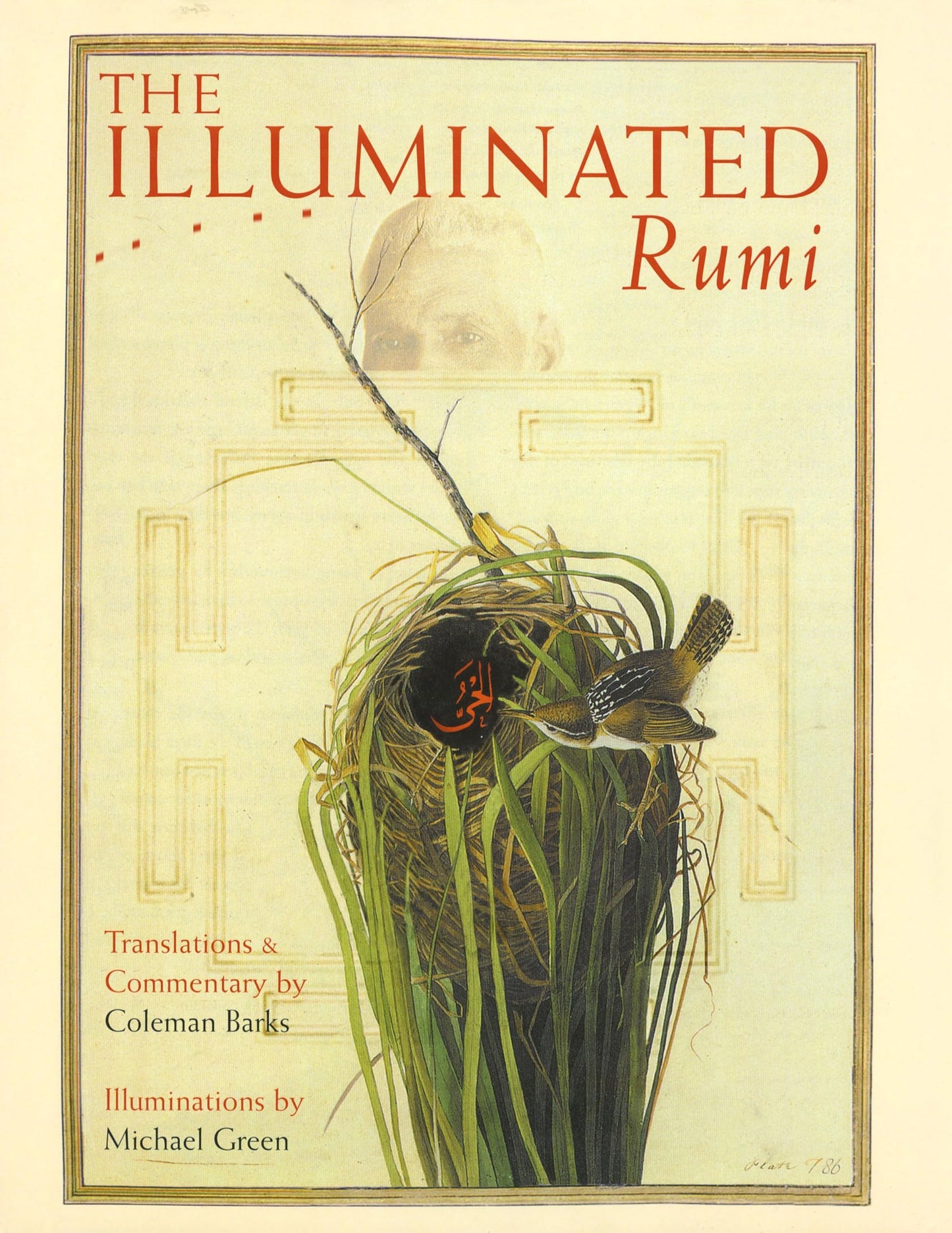 Illuminated Rumi book cover