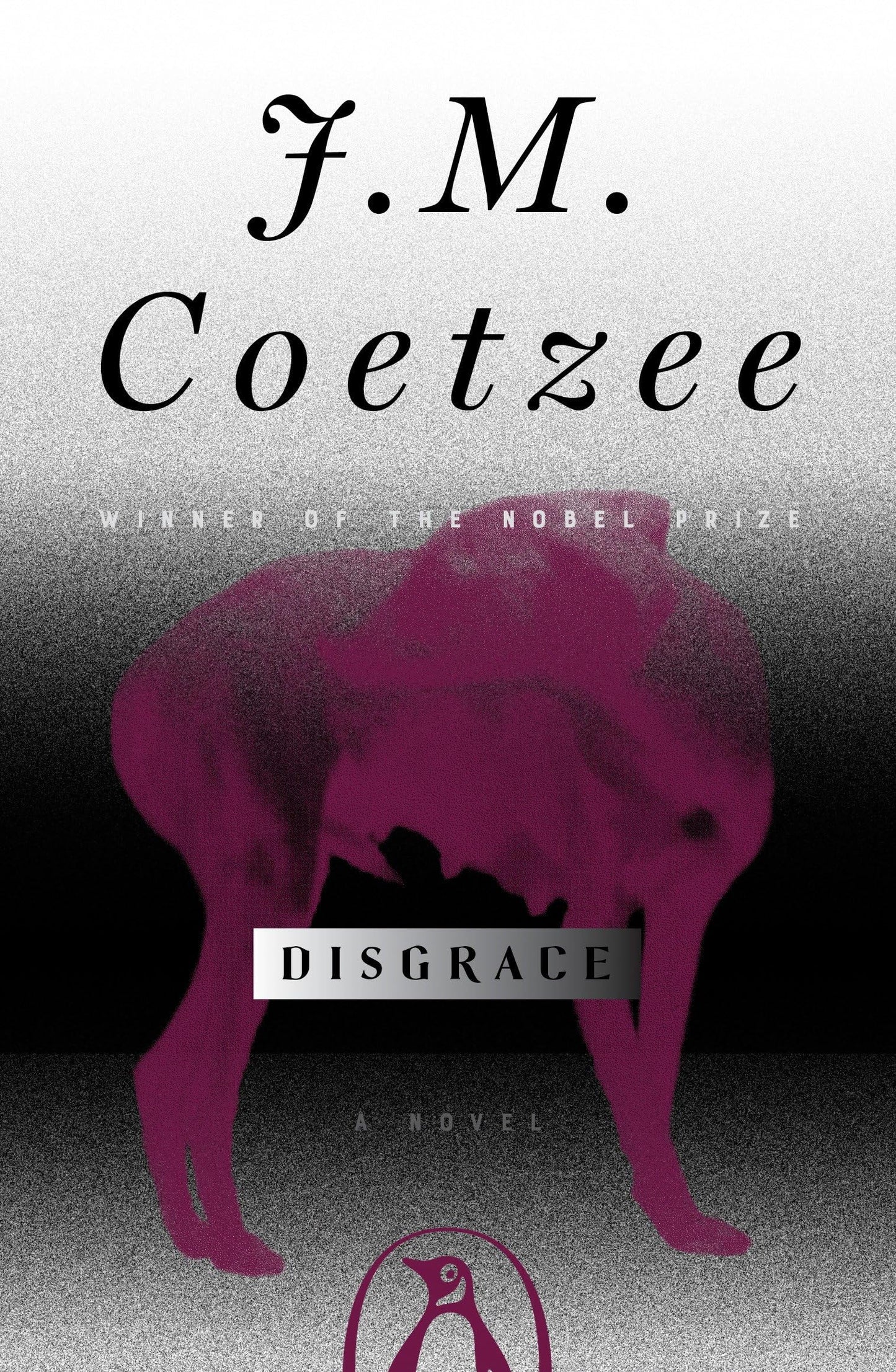 Disgrace book cover