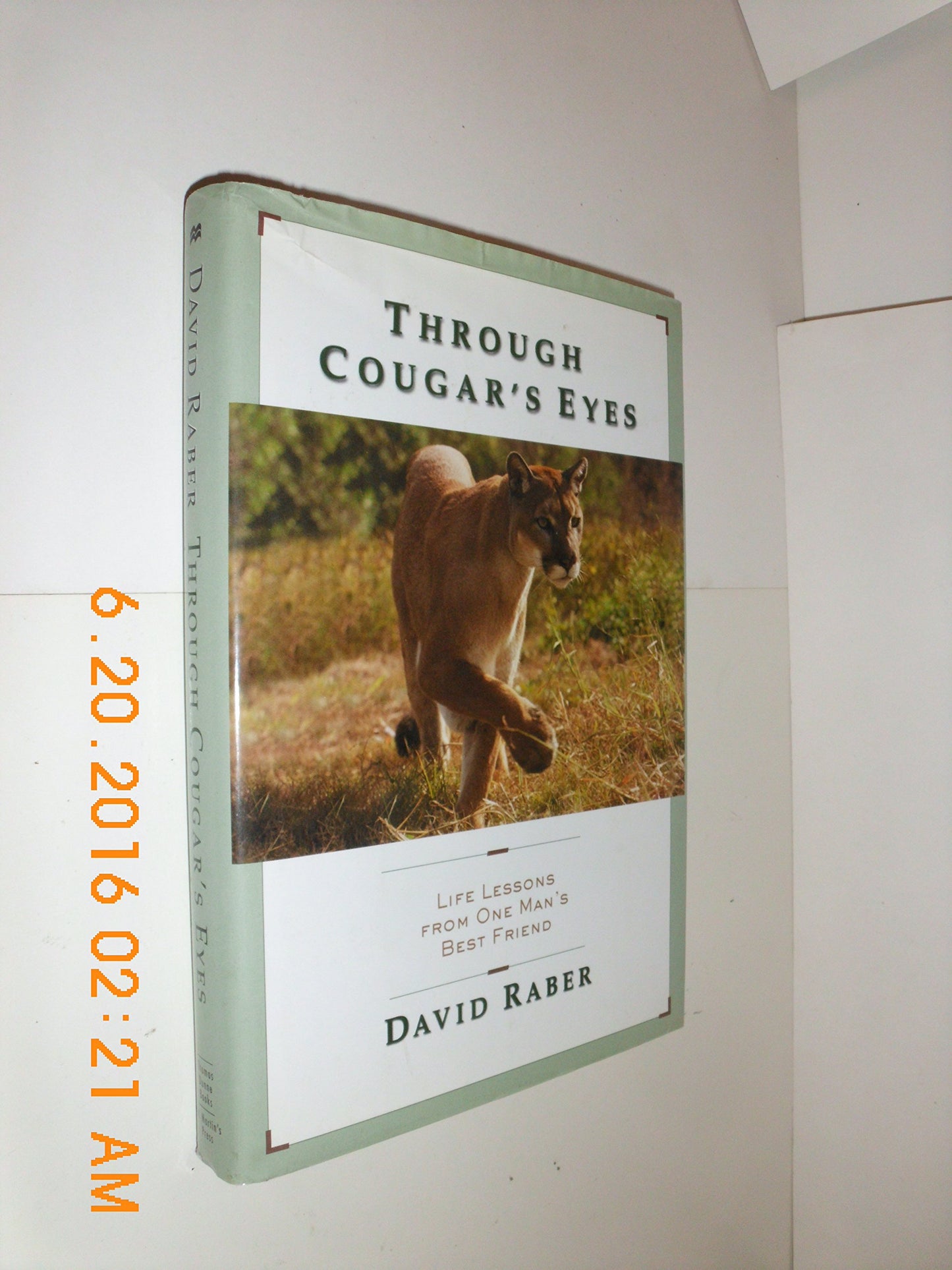 Through Cougar's Eyes: Life Lessons from One Man's Best Friend book cover