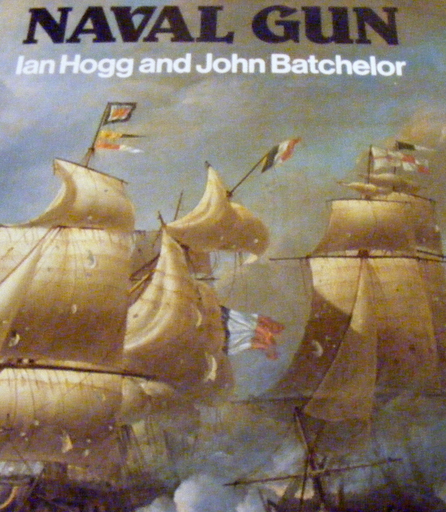 Naval Gun book cover