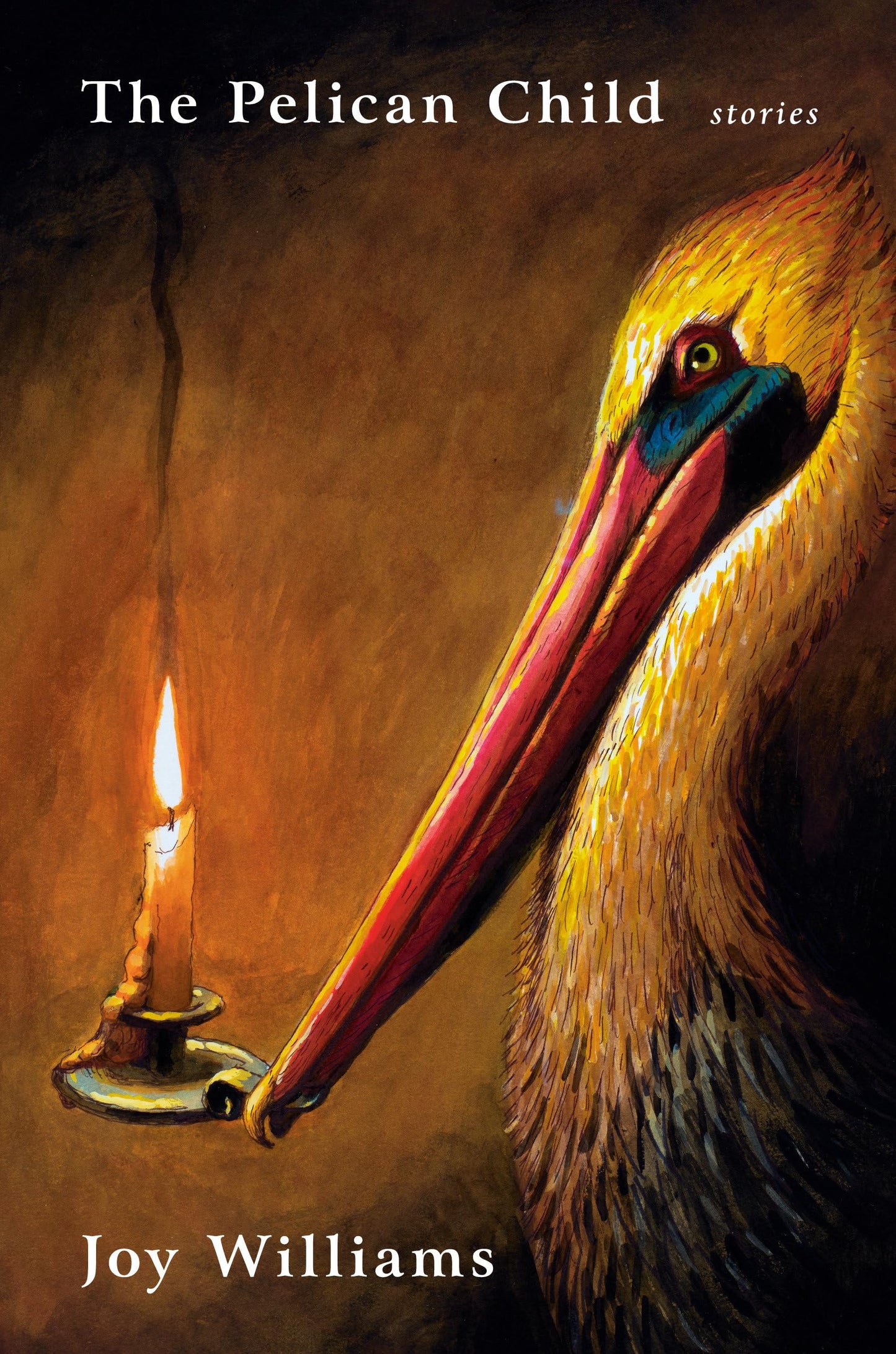 The Pelican Child book cover