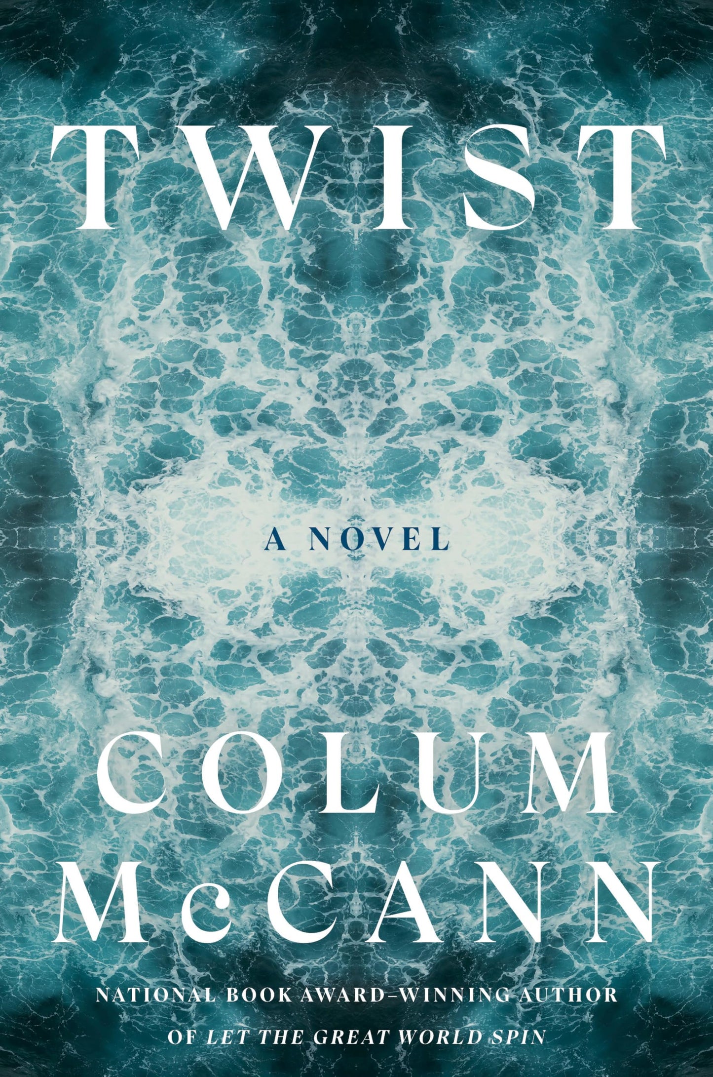 Twist: A Novel book cover