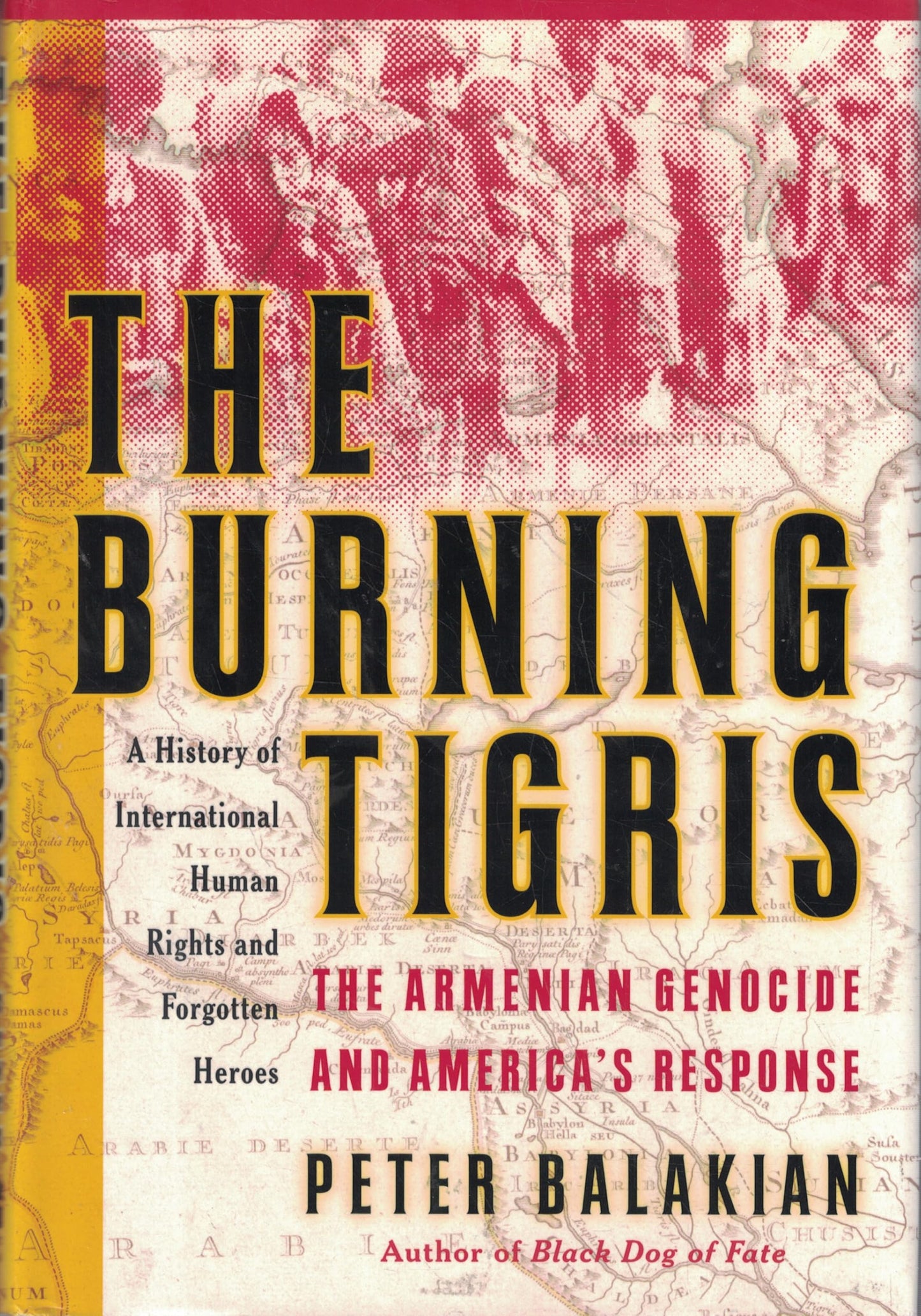 Burning Tigris: The Armenian Genocide and America's Response book cover