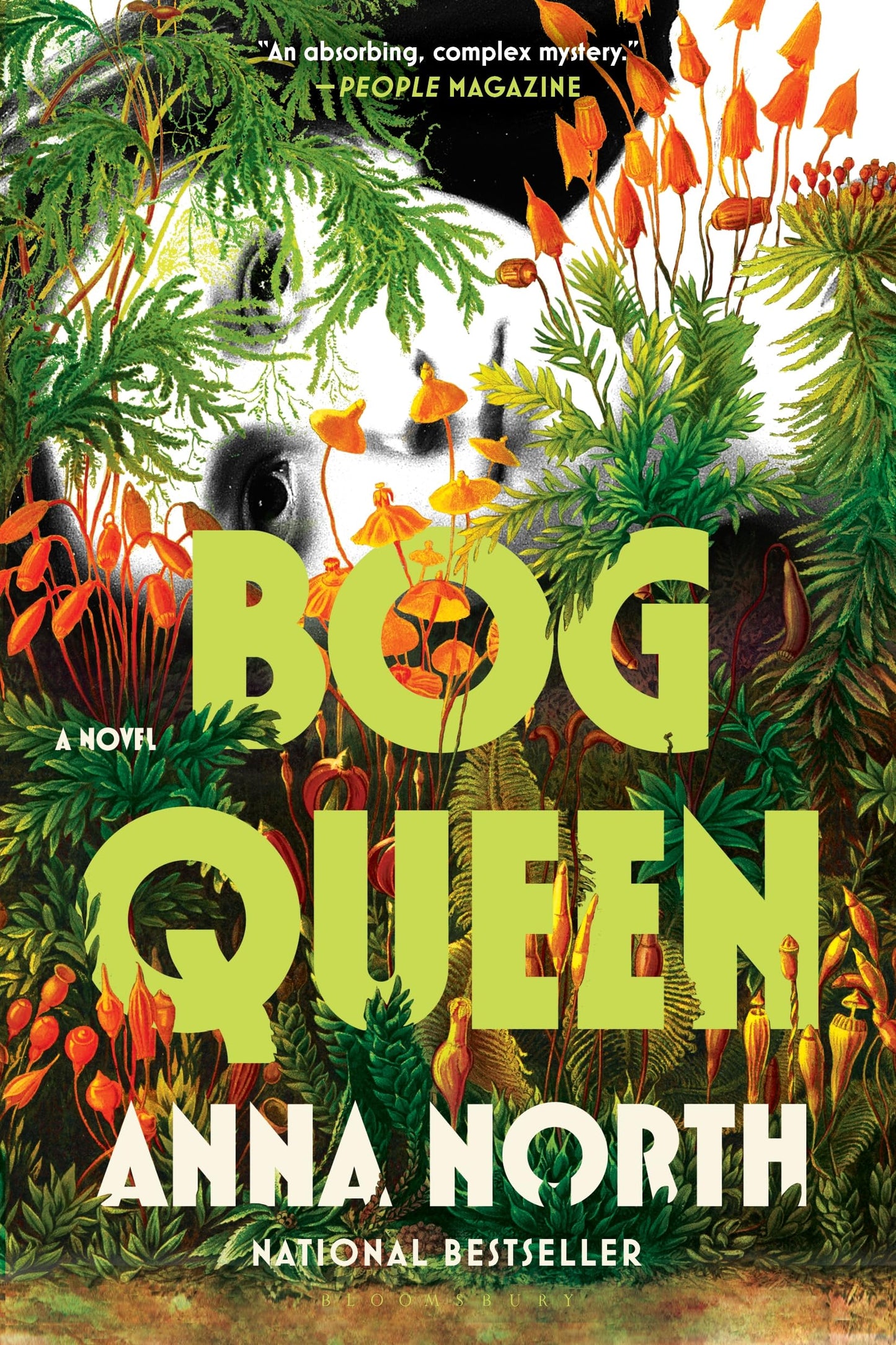 Bog Queen book cover