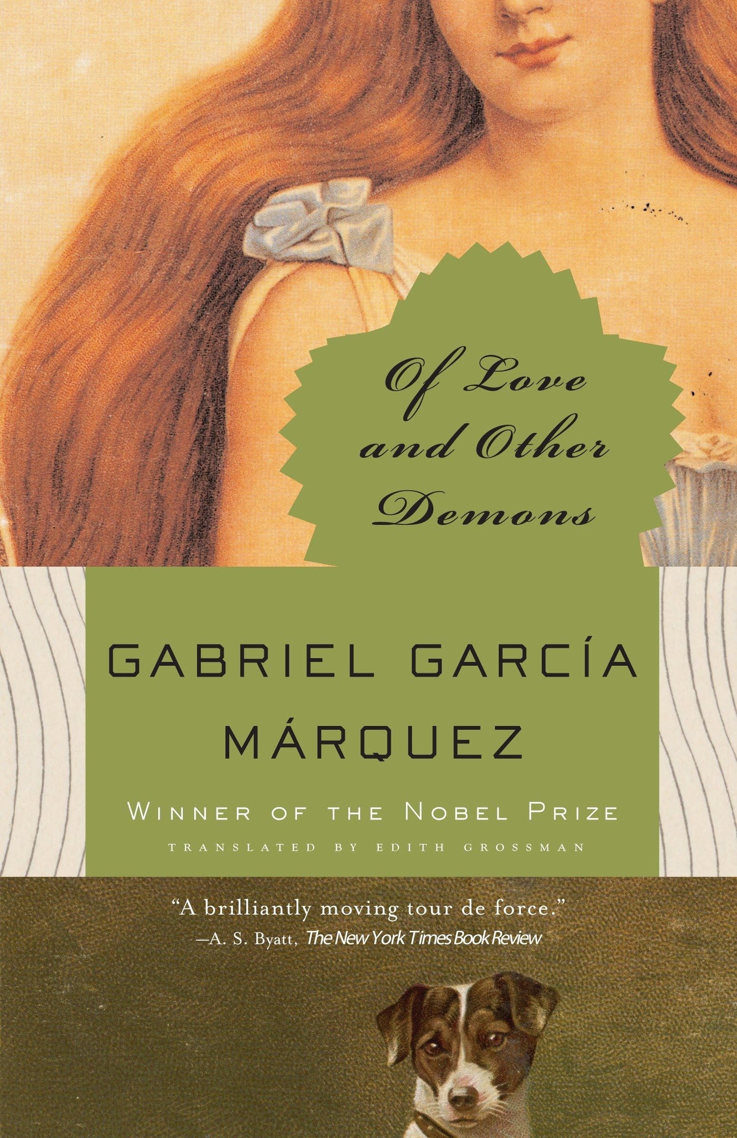 Of Love and Other Demons book cover
