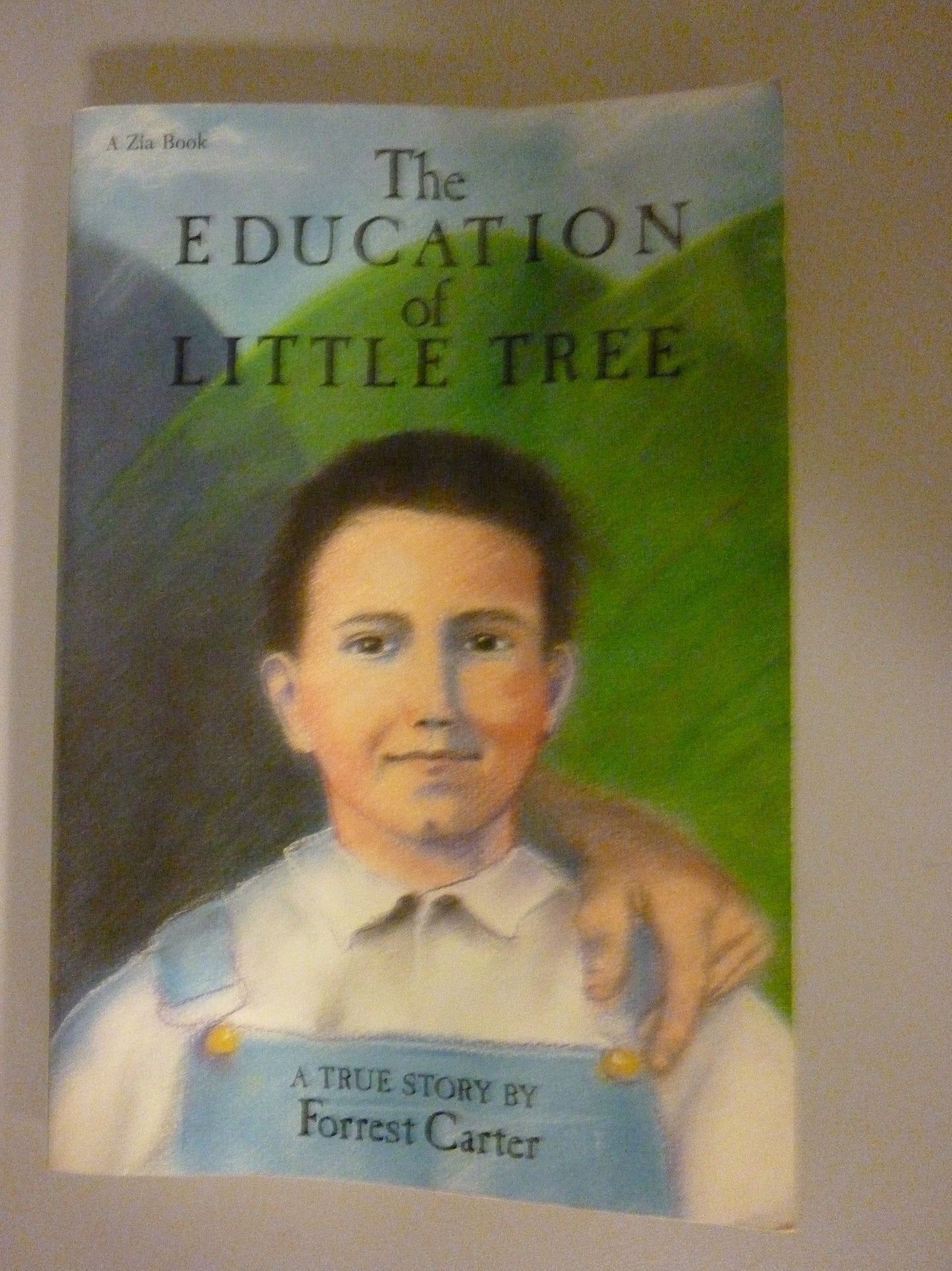 Education of Little Tree book cover