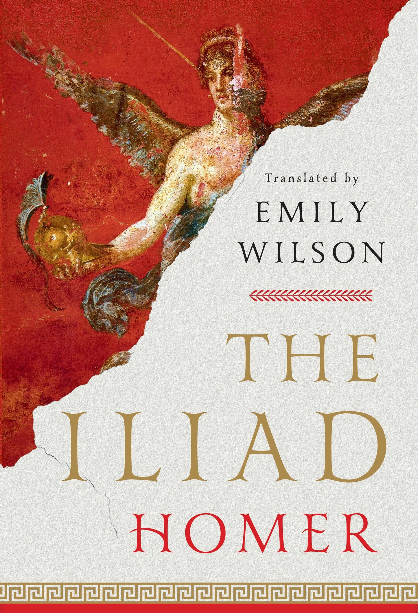 Iliad book cover