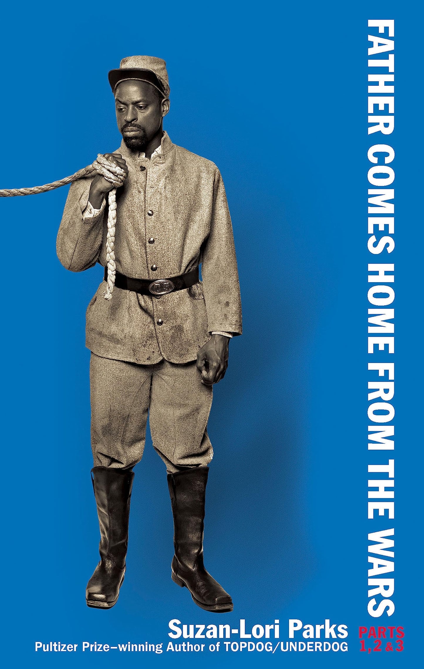 Father Comes Home from the Wars (Parts 1, 2 & 3) book cover
