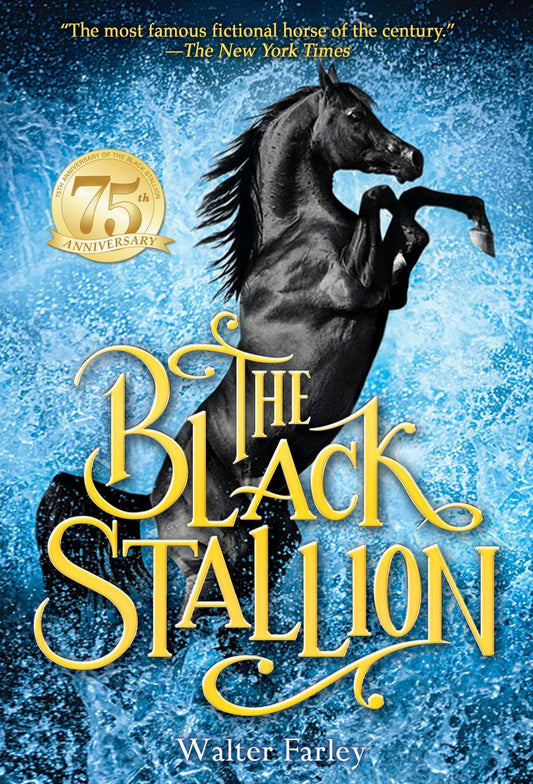 Black Stallion book cover