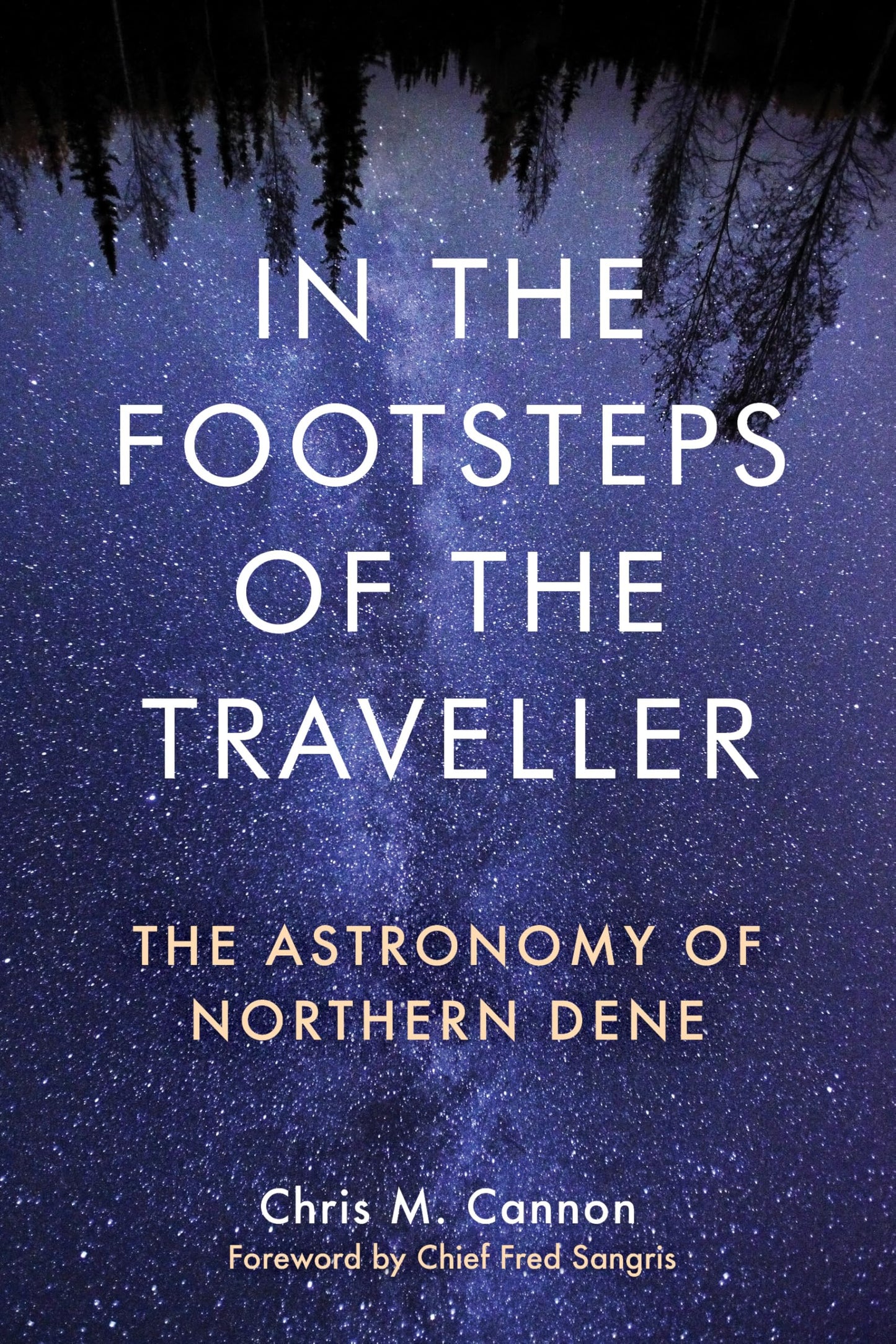 In the Footsteps of the Traveller book cover