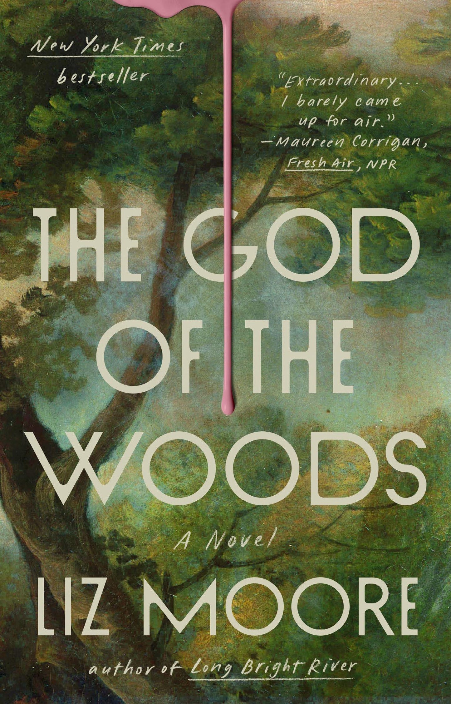 The God of the Woods book cover