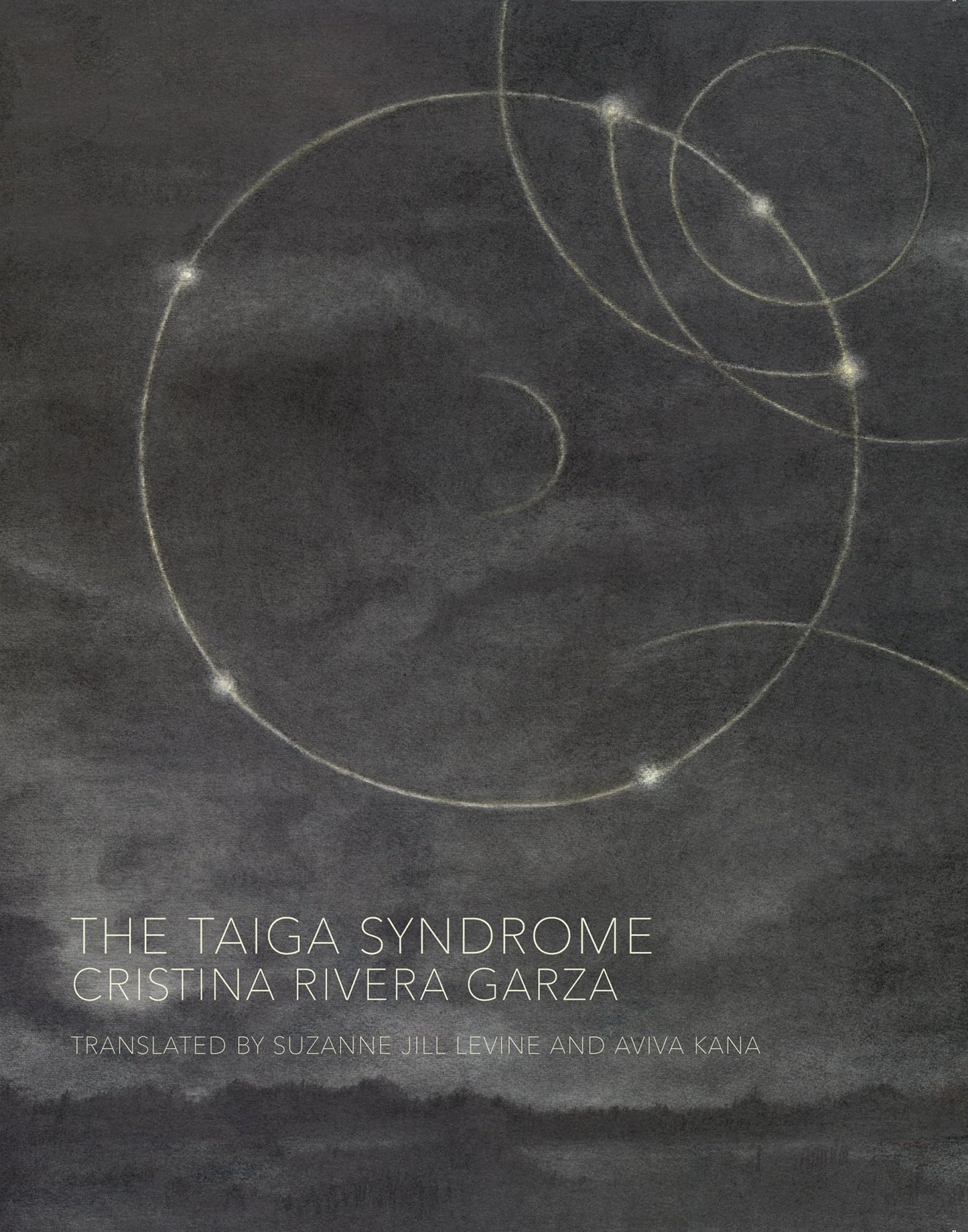Taiga Syndrome book cover