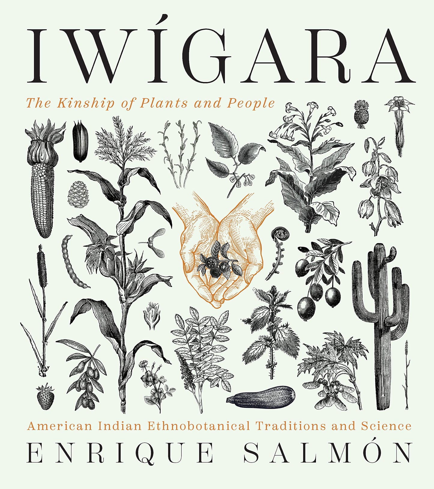 Iwigara: American Indian Ethnobotanical Traditions and Science book cover