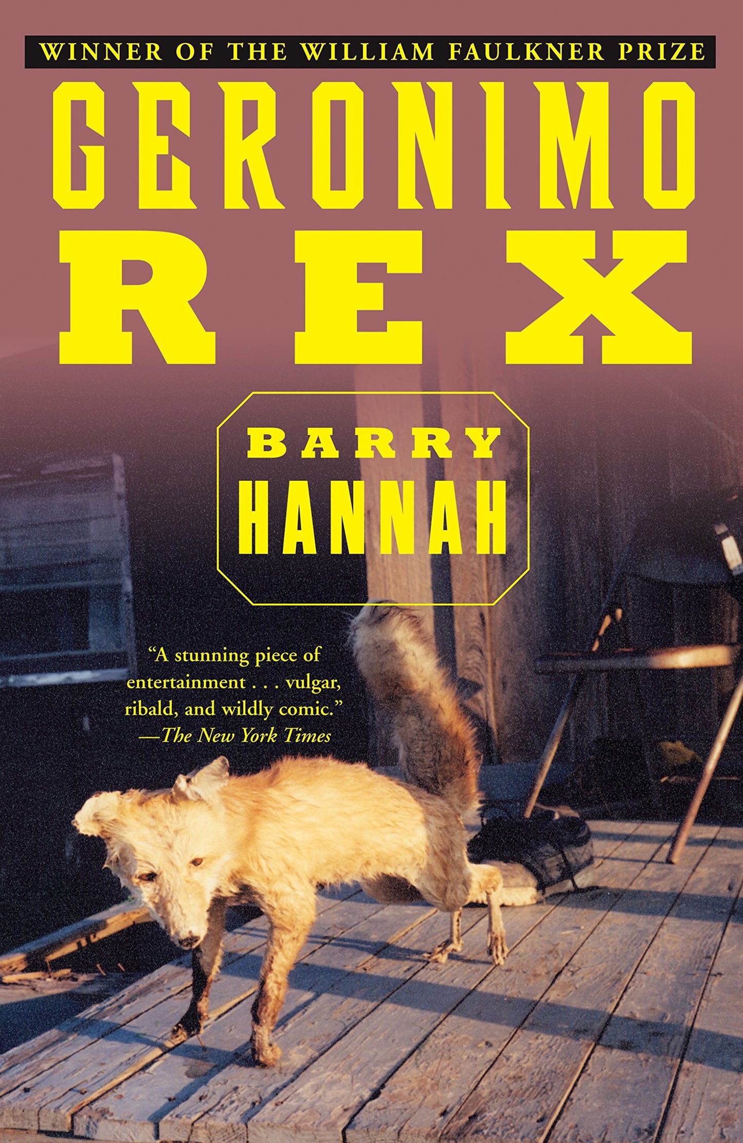 Geronimo Rex book cover